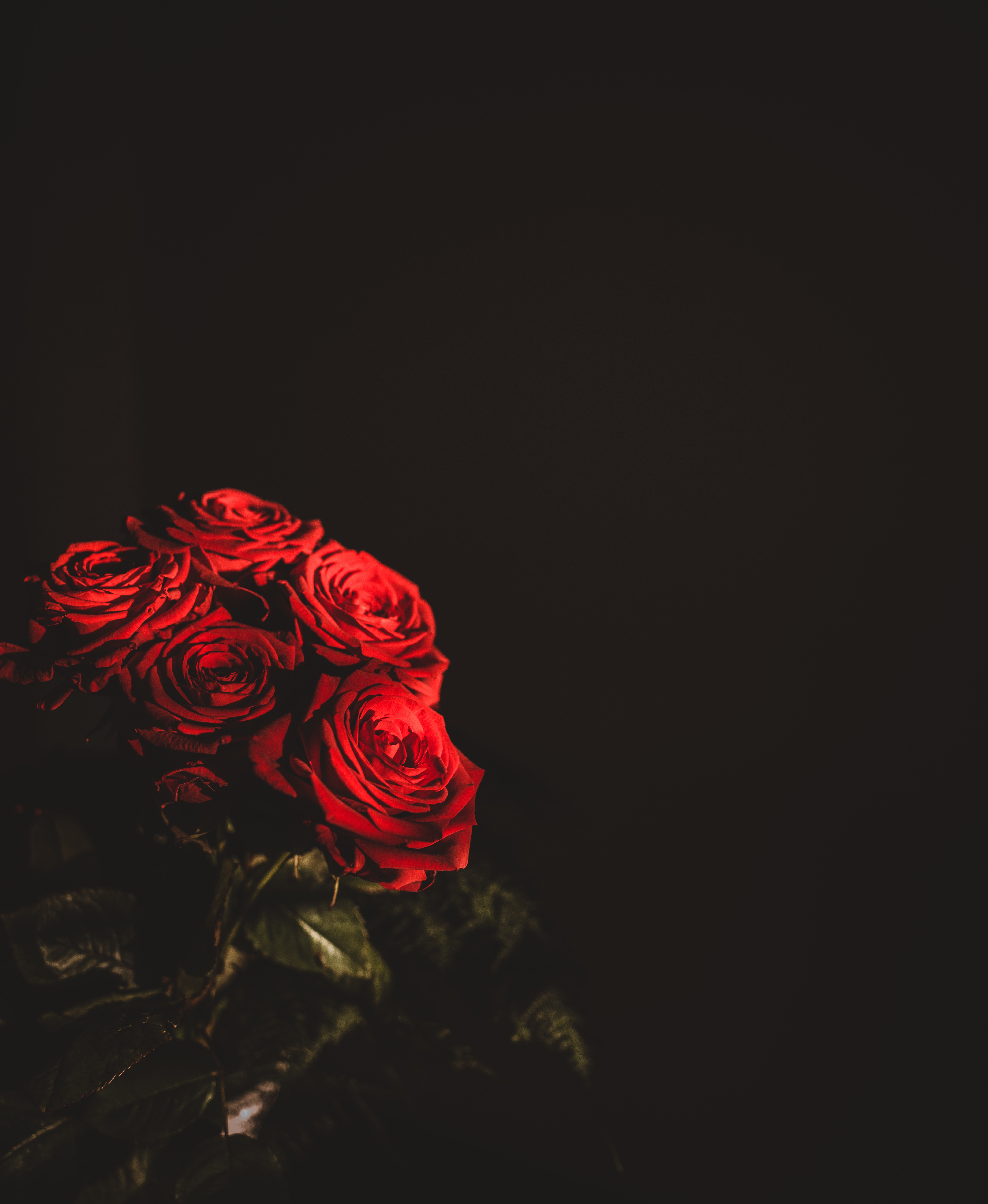 Скачать картинку Цветы, Розы, Красный, Темный, Букет в телефон бесплатно.