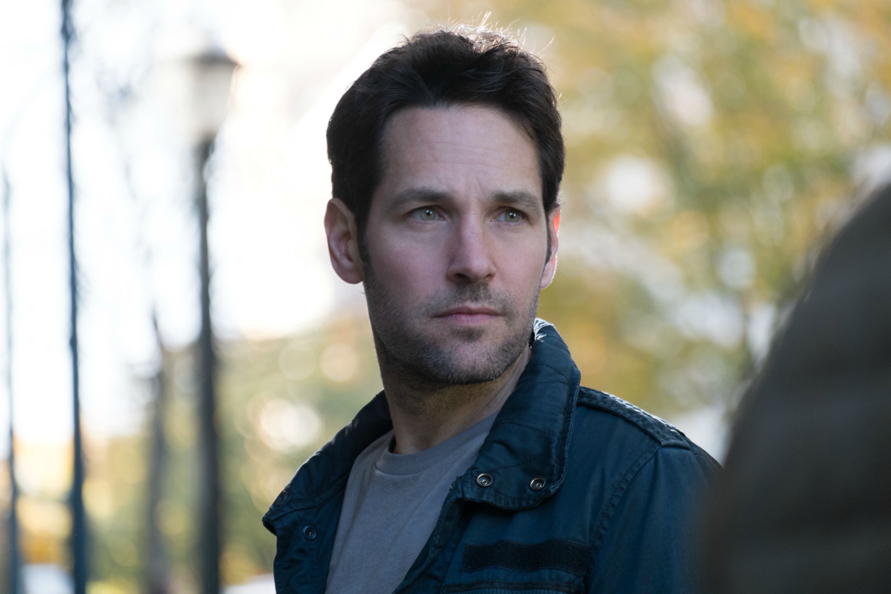 Download mobile wallpaper American, Celebrity, Actor, Paul Rudd for free.