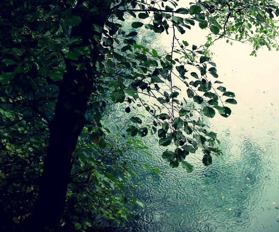 Baixar papel de parede para celular de Chuva, Fotografia gratuito.