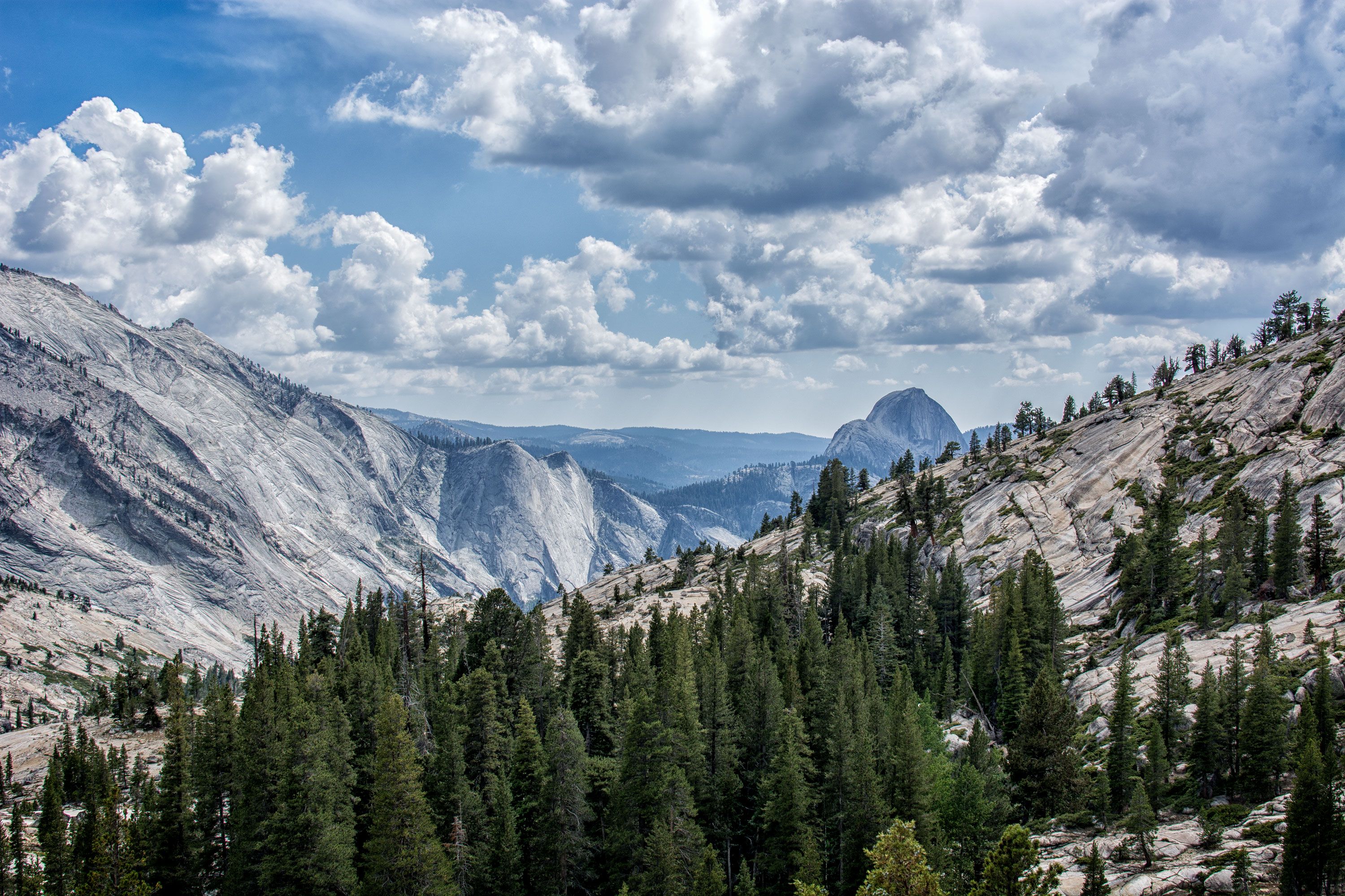 Download mobile wallpaper Landscape, Mountains, Mountain, Tree, Earth, Valley, Cloud for free.