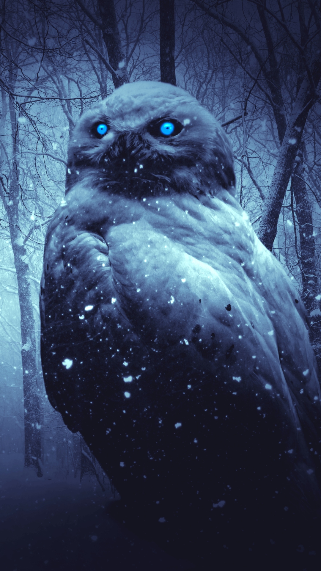 Download mobile wallpaper Fantasy, Owl, Bird, Snowfall, Blue Eyes, Fantasy Animals for free.