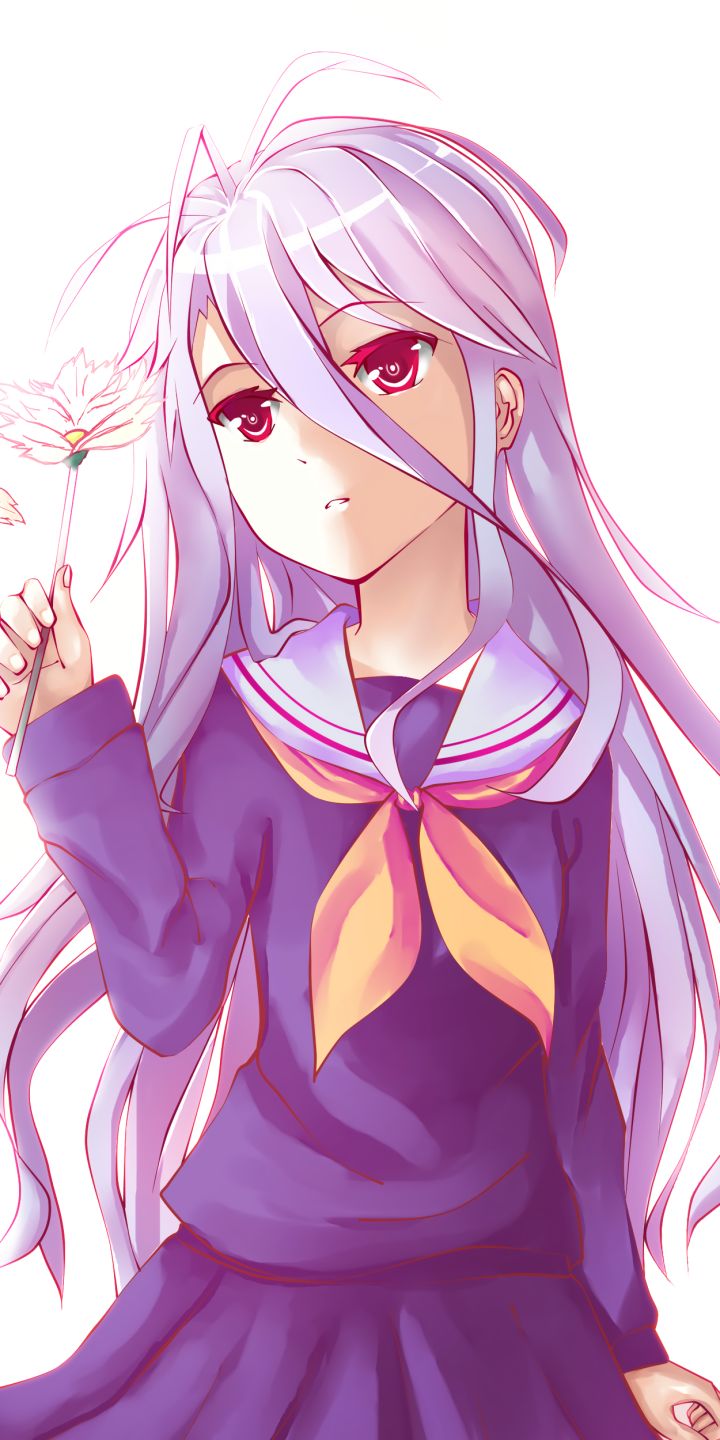 Baixar papel de parede para celular de Anime, Shiro (Sem Jogo Sem Vida), No Game No Life gratuito.