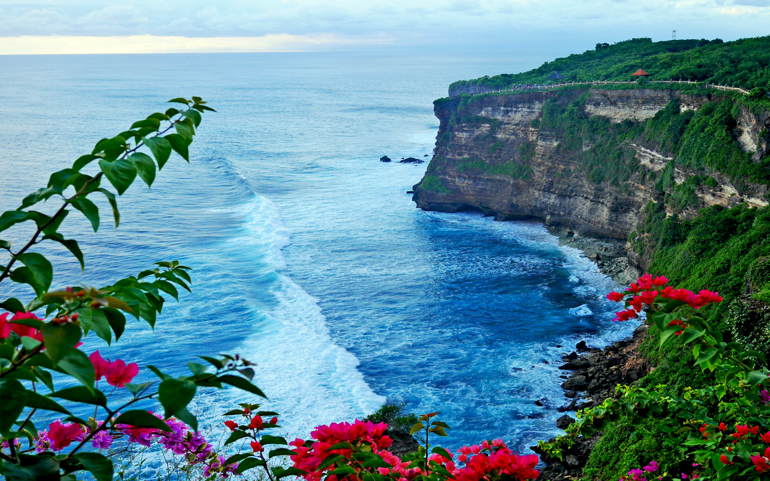 Free download wallpaper Sea, Horizon, Flower, Coast, Ocean, Earth, Cliff, Indonesia, Coastline on your PC desktop
