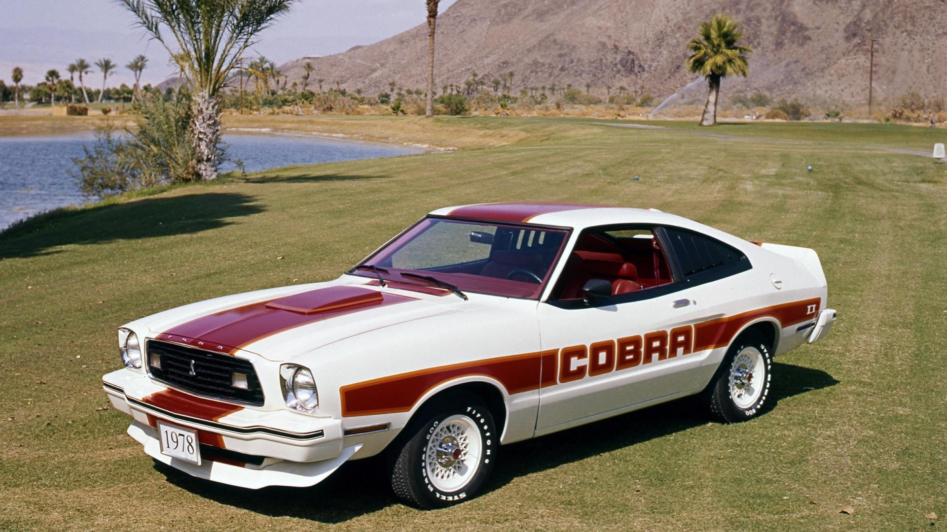 Baixar papéis de parede de desktop Ford Mustang Cobra HD