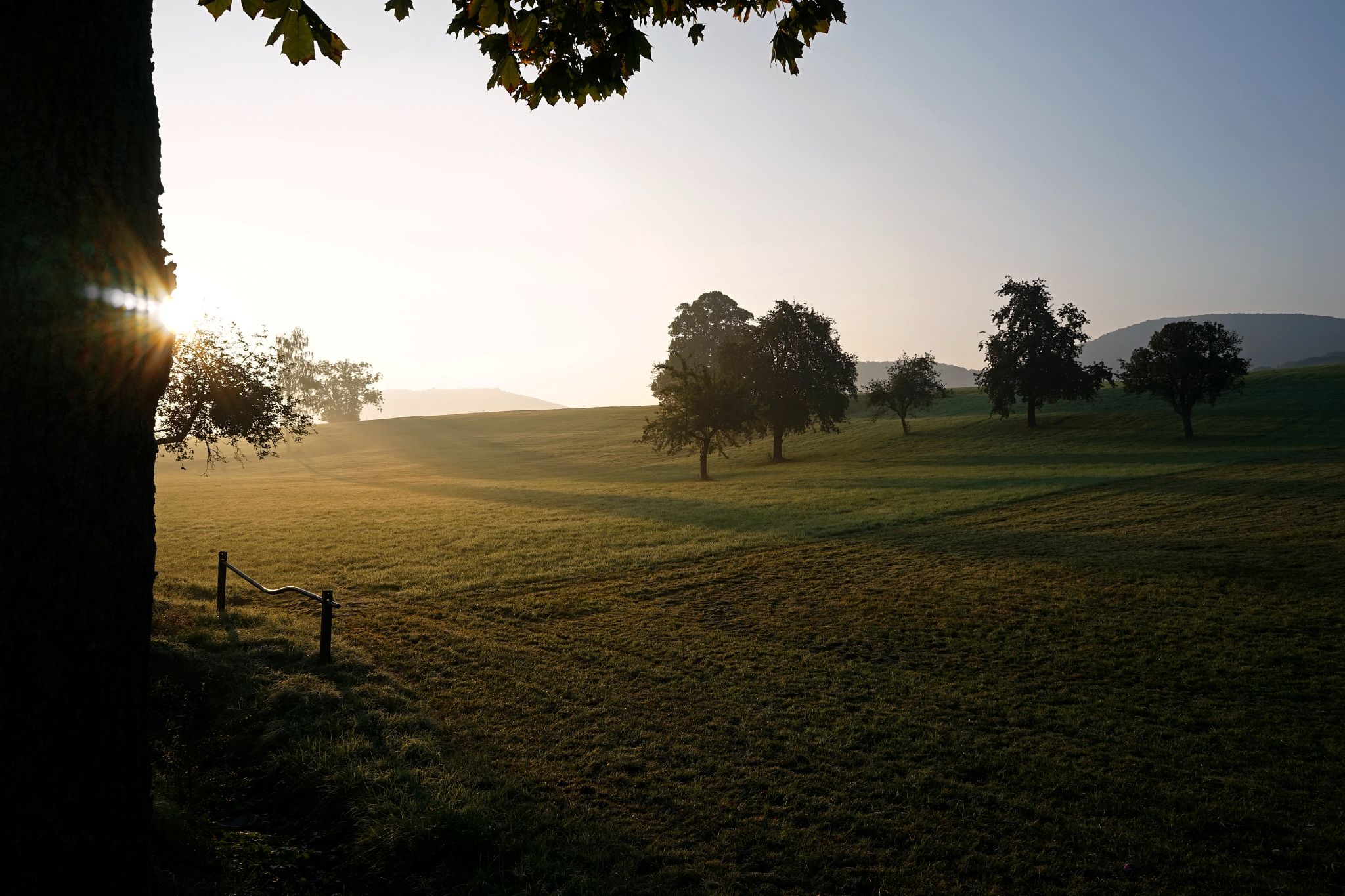 Laden Sie das Feld, Erde/natur-Bild kostenlos auf Ihren PC-Desktop herunter