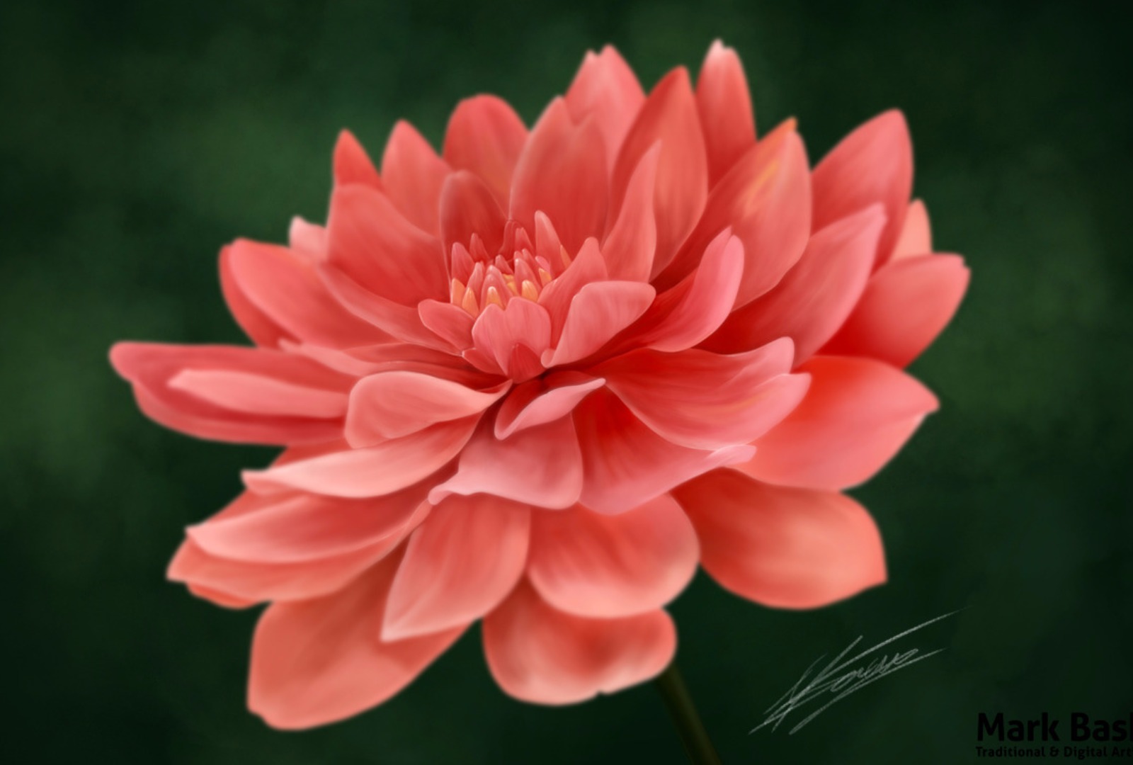 Free download wallpaper Flowers, Flower, Close Up, Earth, Pink Flower on your PC desktop