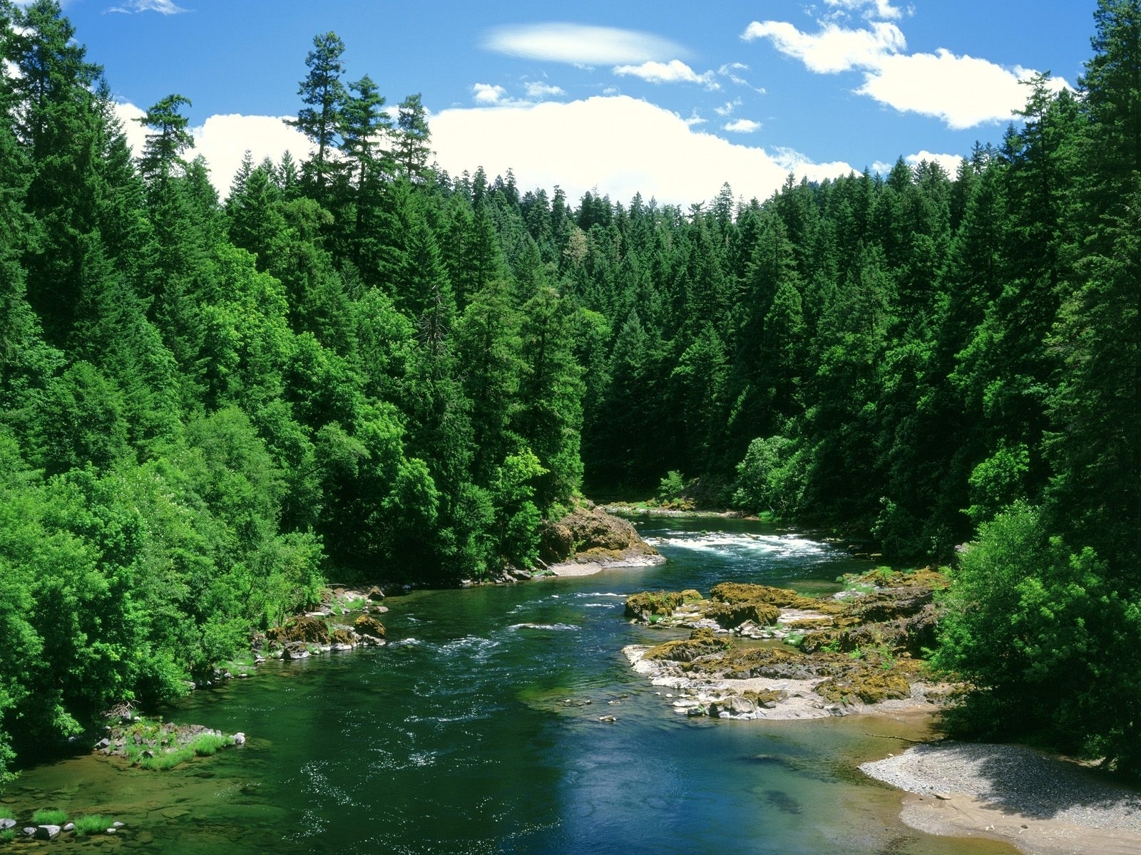 Скачати мобільні шпалери Річка, Дерева, Пейзаж безкоштовно.