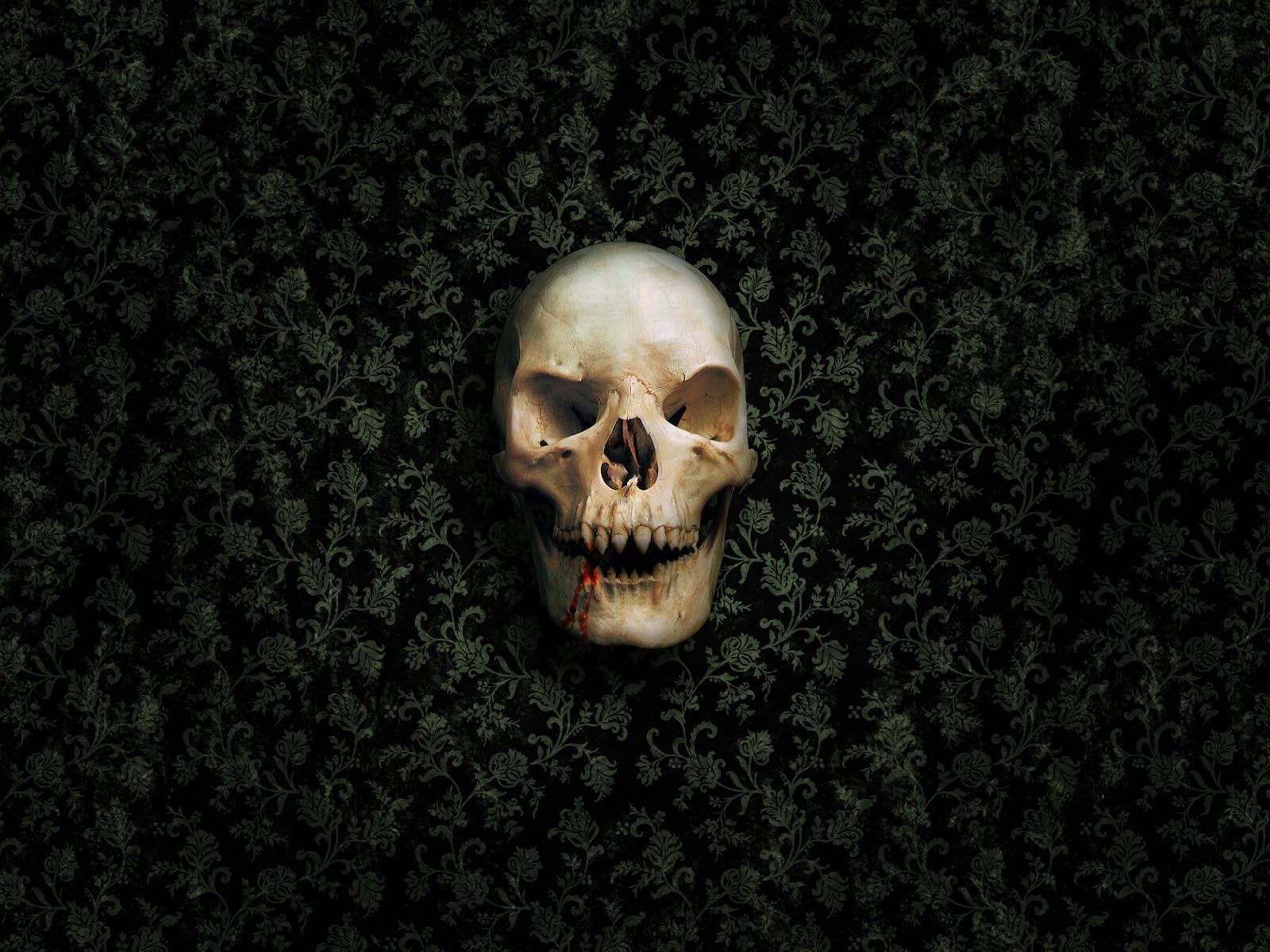 Téléchargez gratuitement l'image Squelette, Sombre, Mur, Le Crâne, Crâne, 3D sur le bureau de votre PC