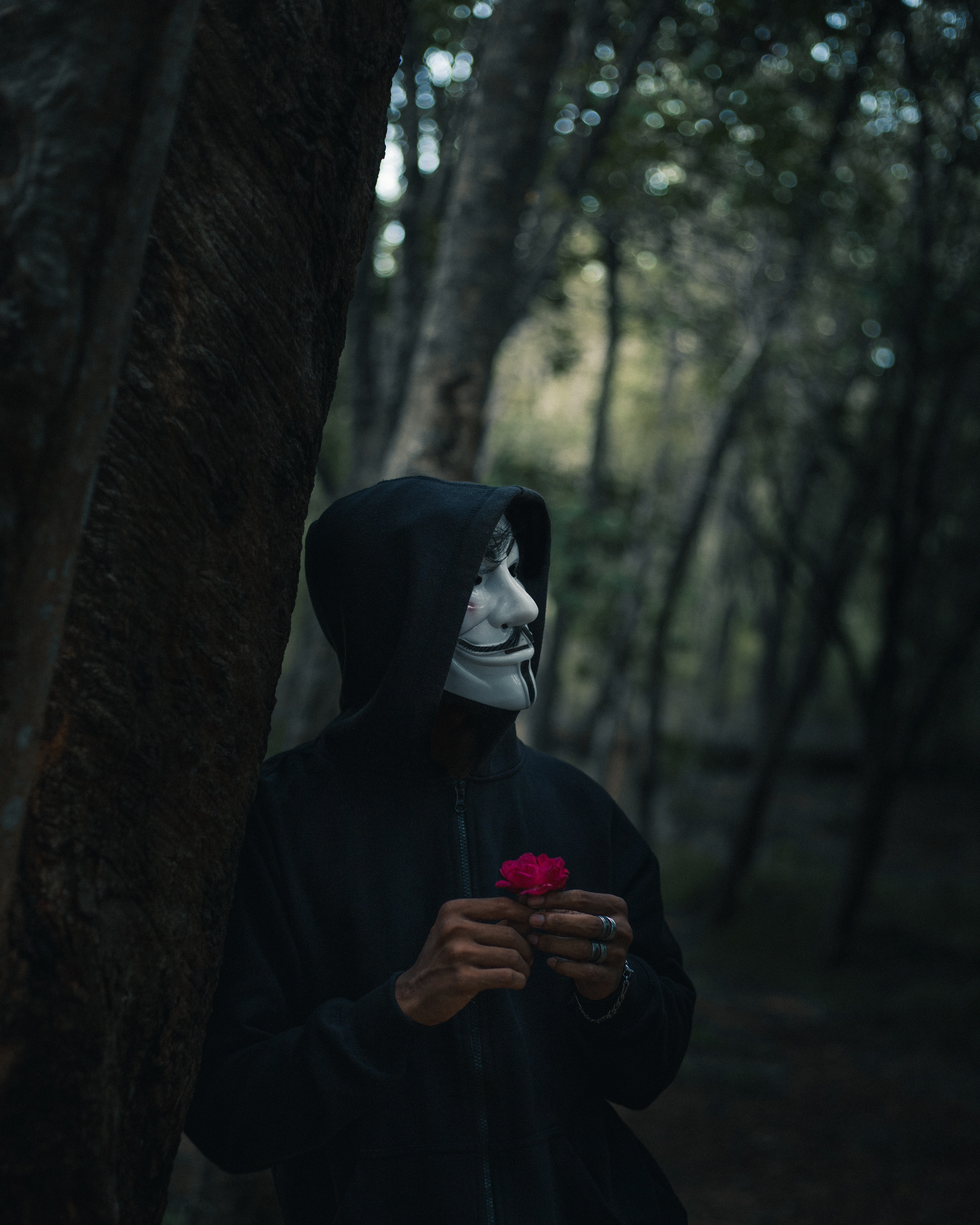 Cool Wallpapers anonymous, mask, miscellanea, miscellaneous, forest, human, person, hood