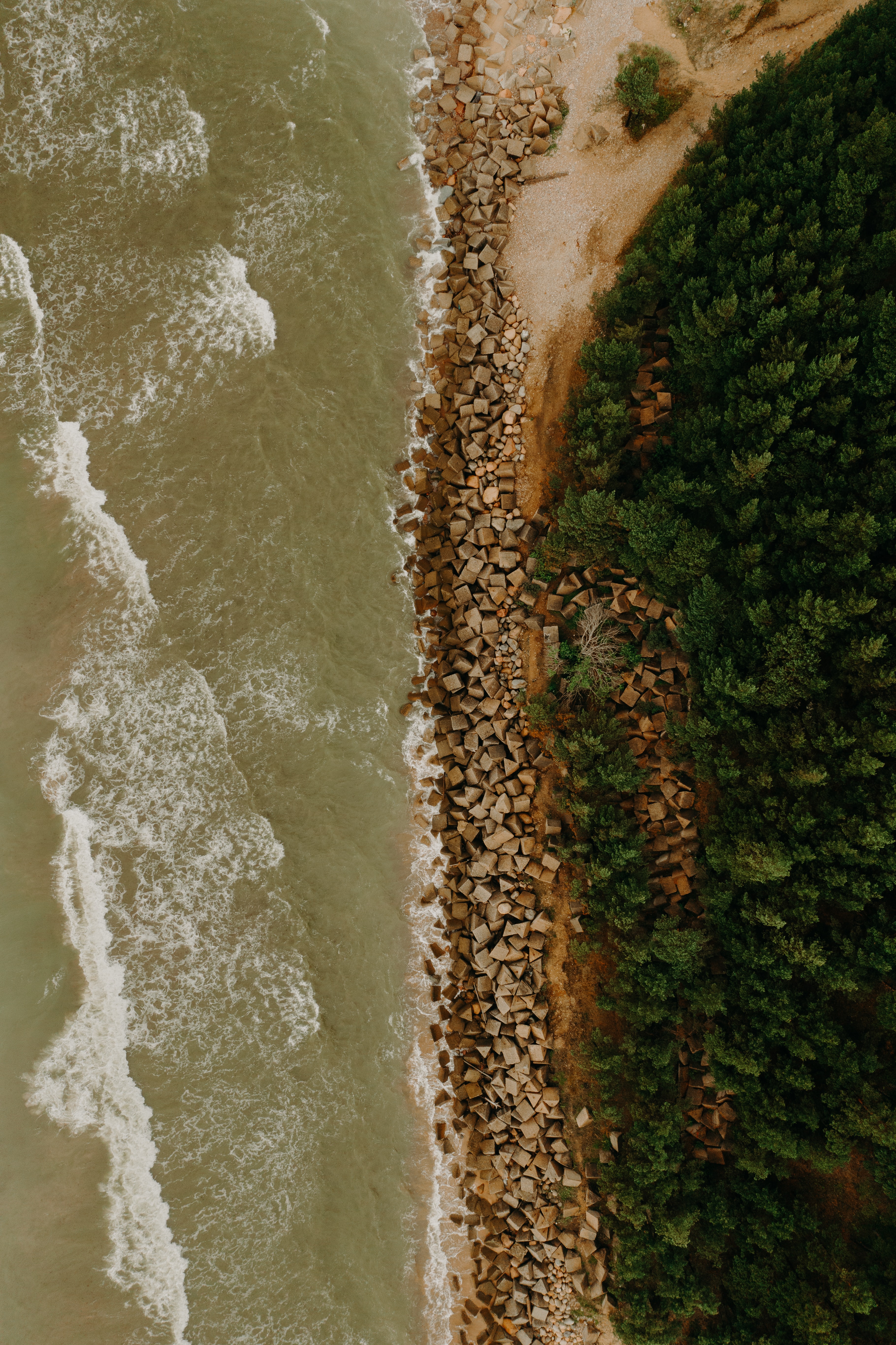 Download mobile wallpaper View From Above, Coast, Sea, Trees, Nature for free.