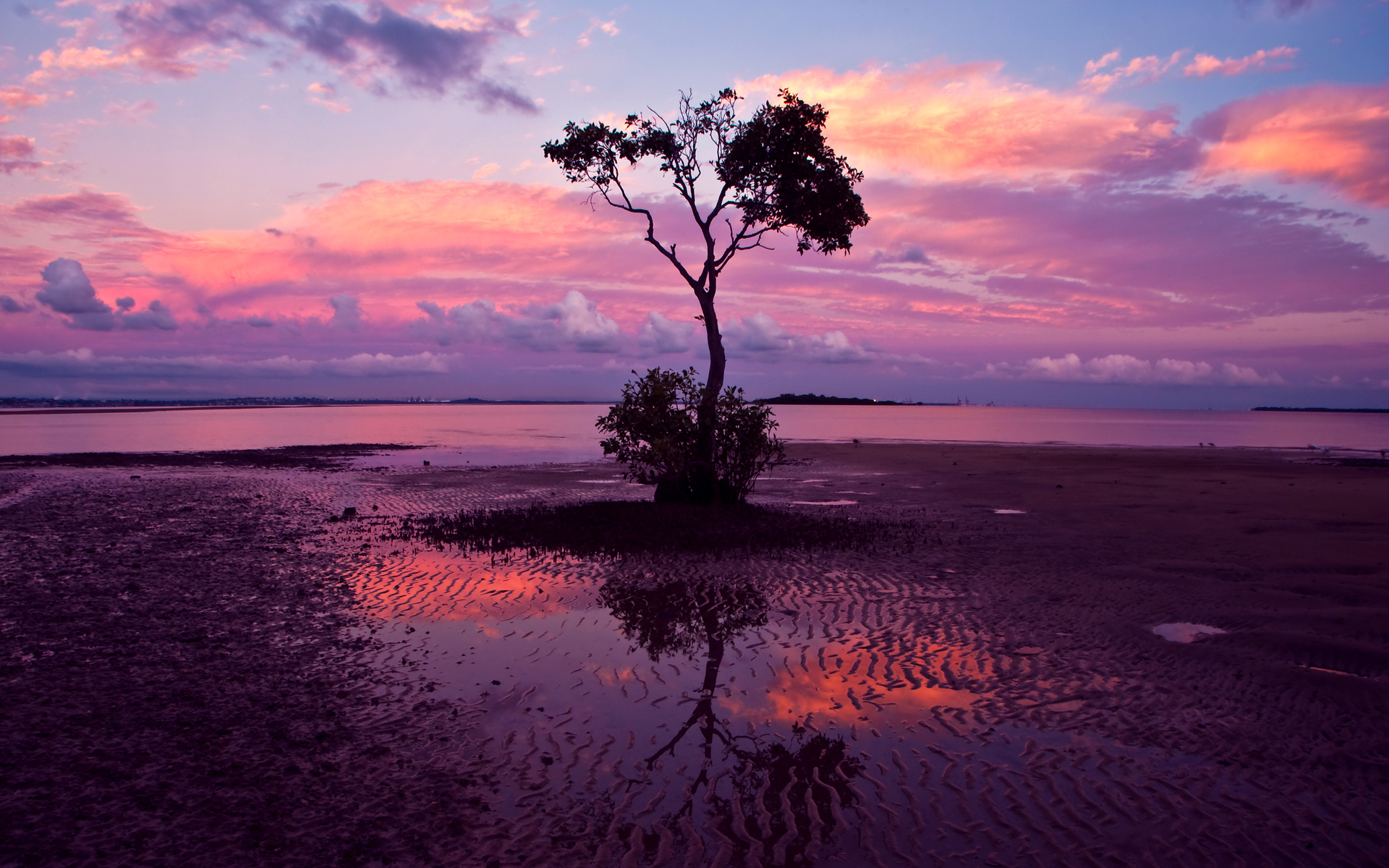 Free download wallpaper Water, Sunset, Tree, Earth on your PC desktop