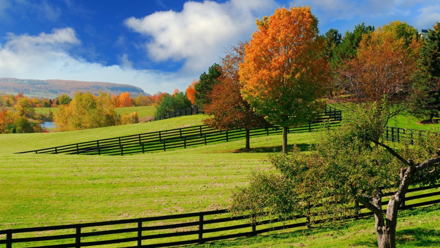 Descarga gratuita de fondo de pantalla para móvil de Campo, Tierra/naturaleza.