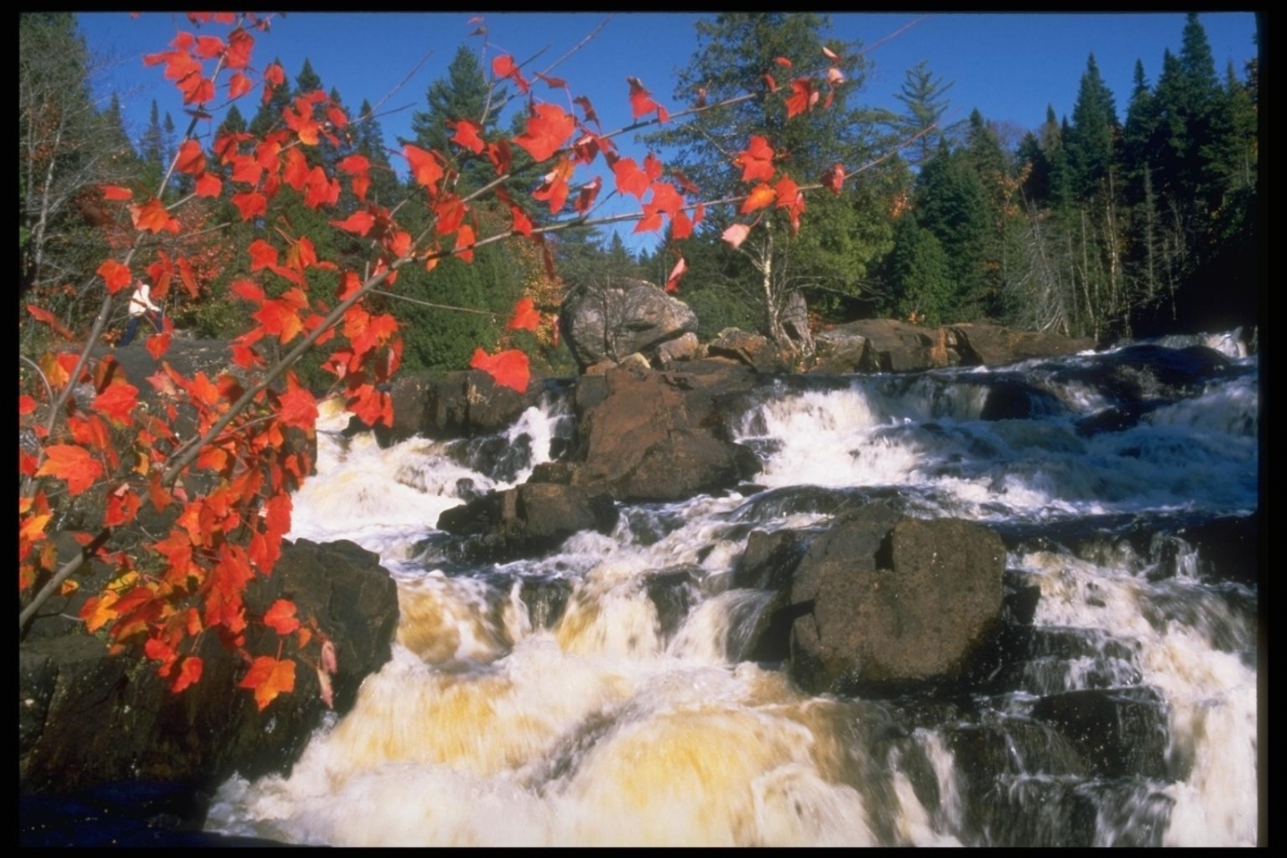 Laden Sie das Pflanzen, Landschaft, Natur, Wasser, Stones, Wasserfälle-Bild kostenlos auf Ihren PC-Desktop herunter