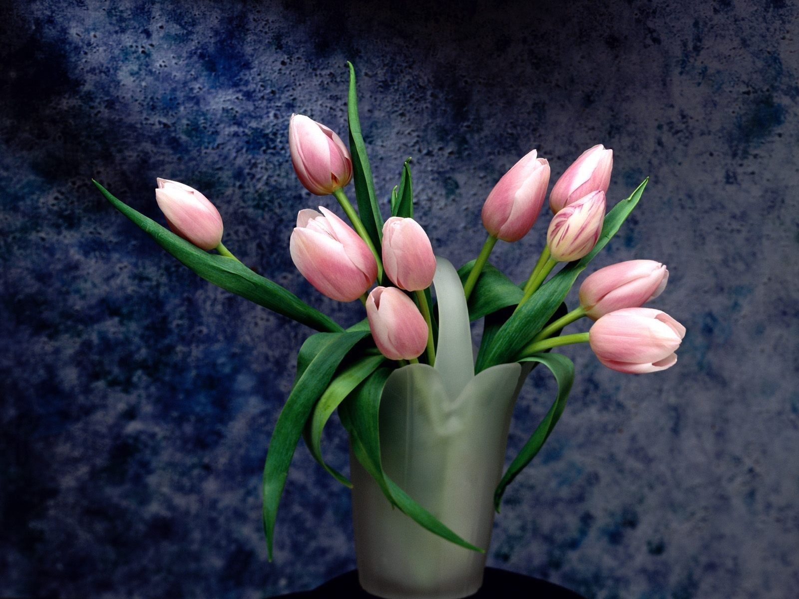 Descarga gratis la imagen Flor, Flor Rosa, Ramo, Tulipán, Hecho Por El Hombre, Lanzador en el escritorio de tu PC