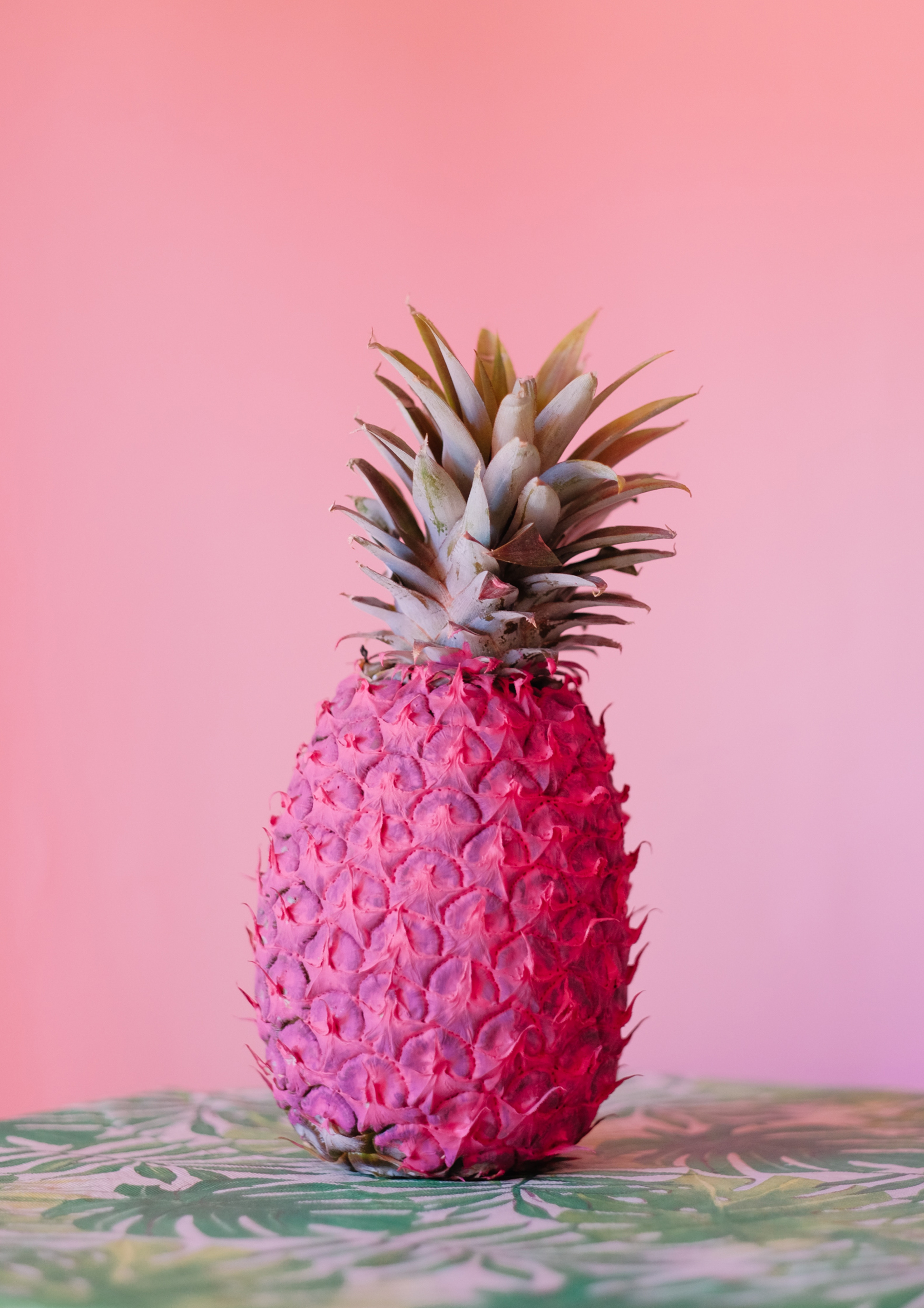 113075 скачать обои розовый, тропический, ананас, фрукт, краска, еда - заставки и картинки бесплатно