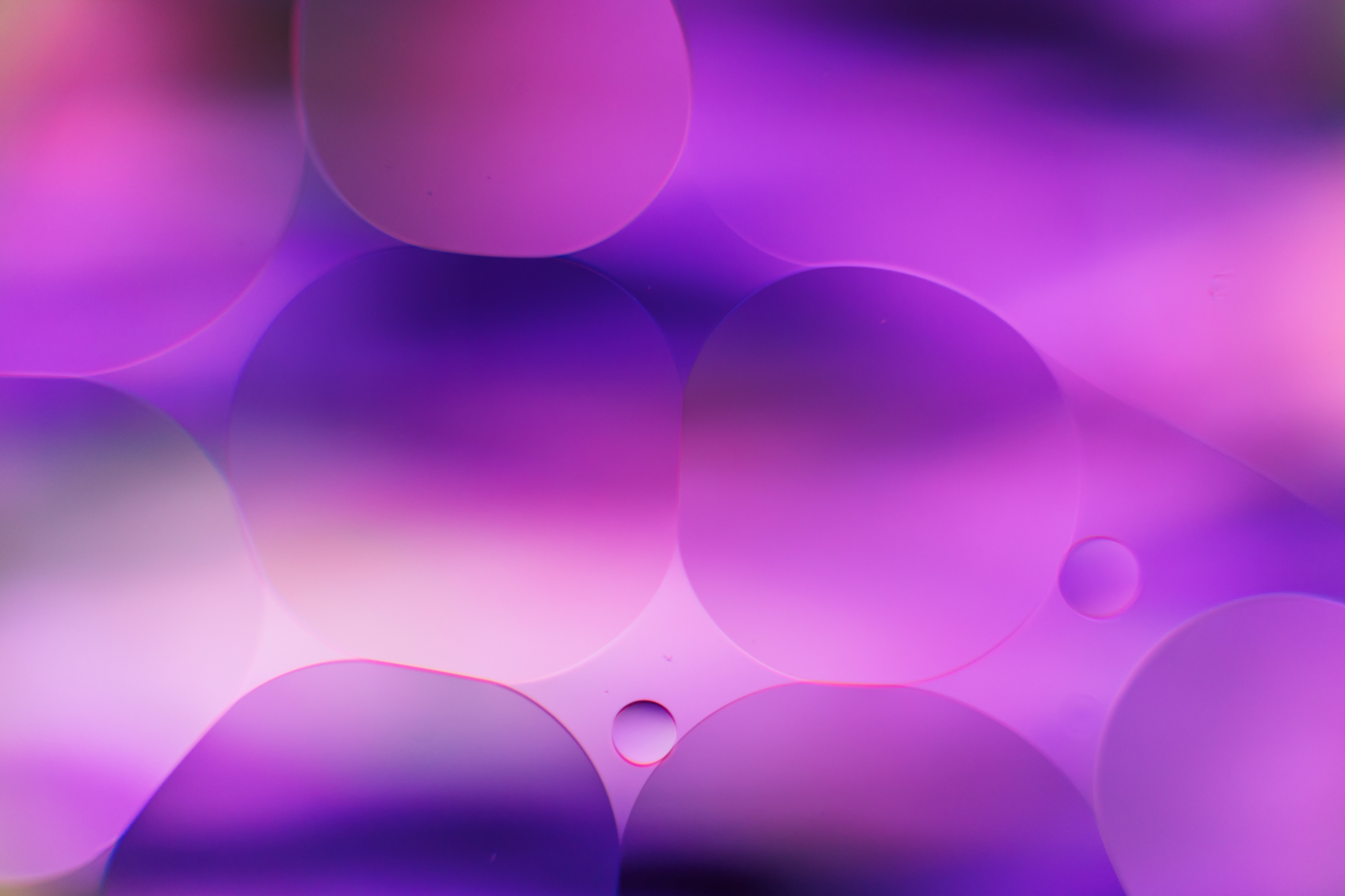 abstract, water, bubbles, violet, purple, gradient Desktop Wallpaper