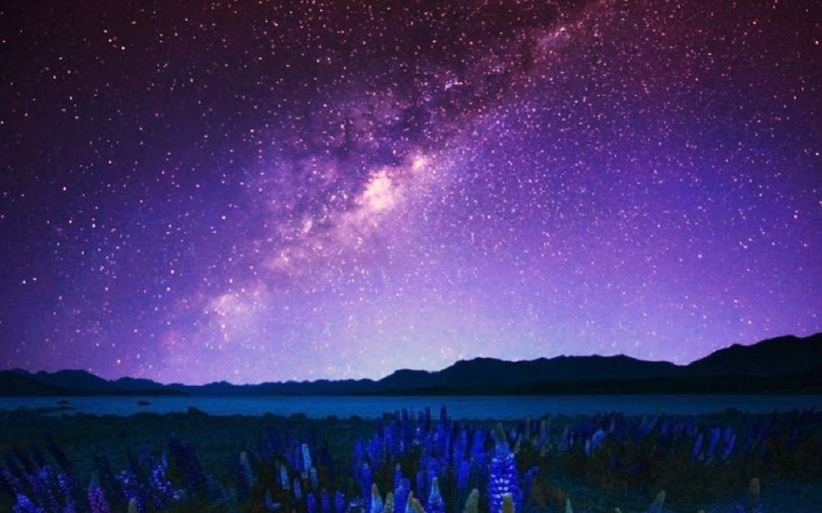 Download mobile wallpaper Sky, Night, Flower, Earth, Field, Milky Way, Galaxy for free.
