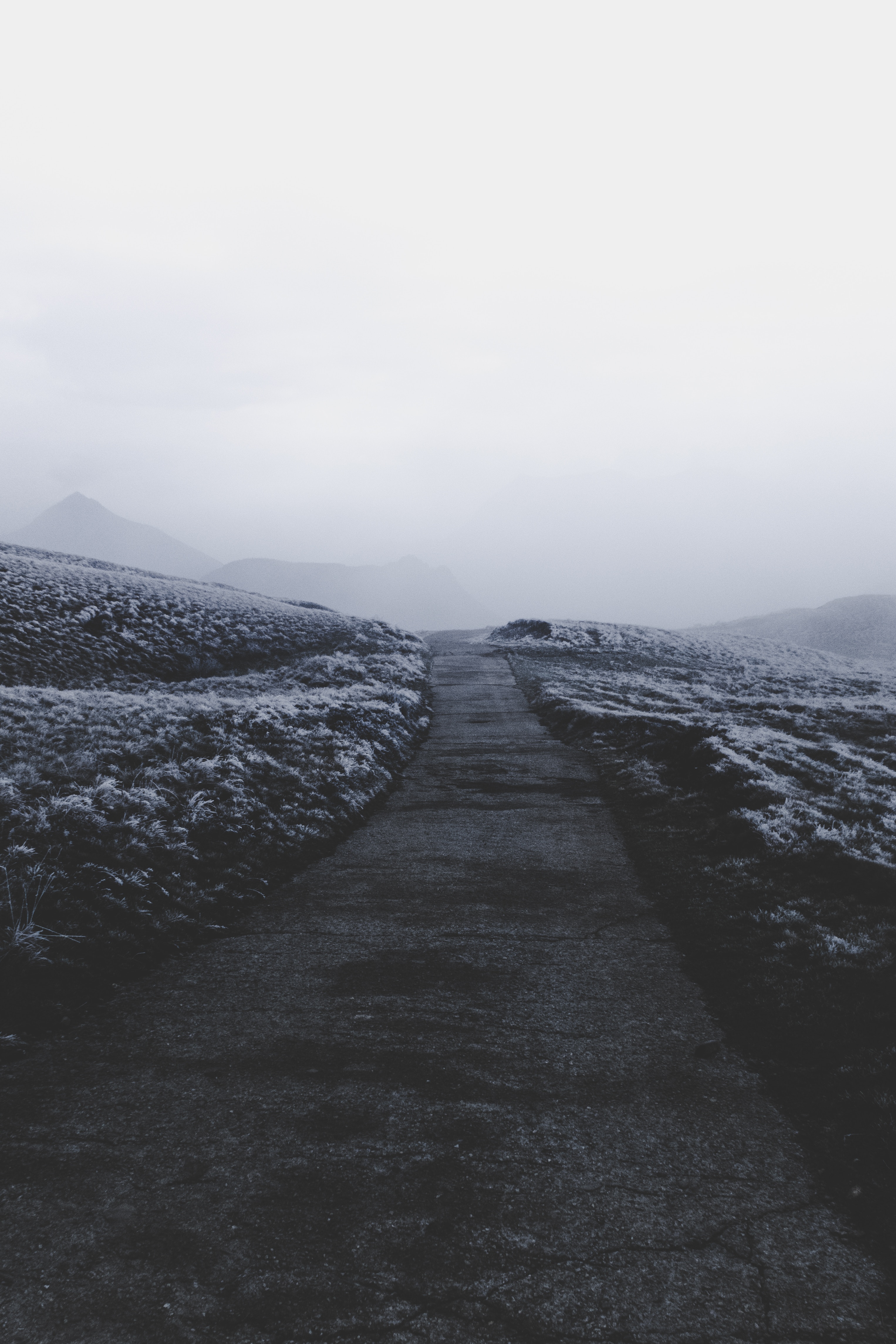 nature, snow, fog, path, frost, hoarfrost FHD, 4K, UHD