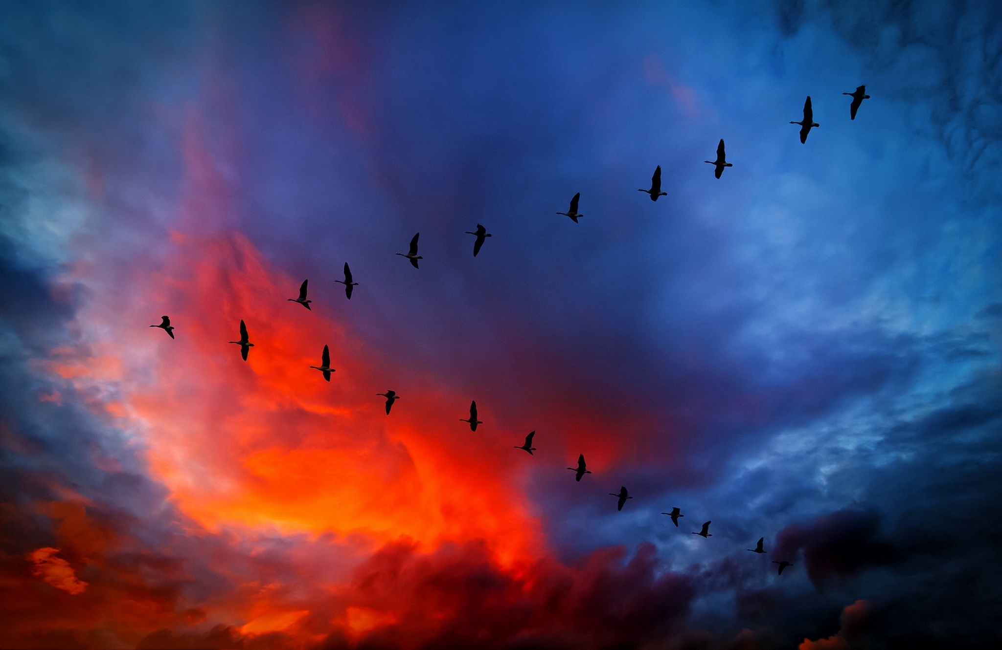 Download mobile wallpaper Birds, Sunset, Sky, Silhouette, Bird, Animal, Orange (Color) for free.