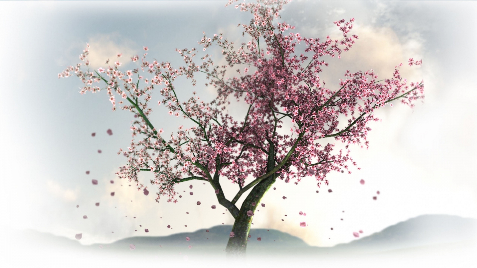 Скачать обои бесплатно Деревья, Сакура, Растения картинка на рабочий стол ПК