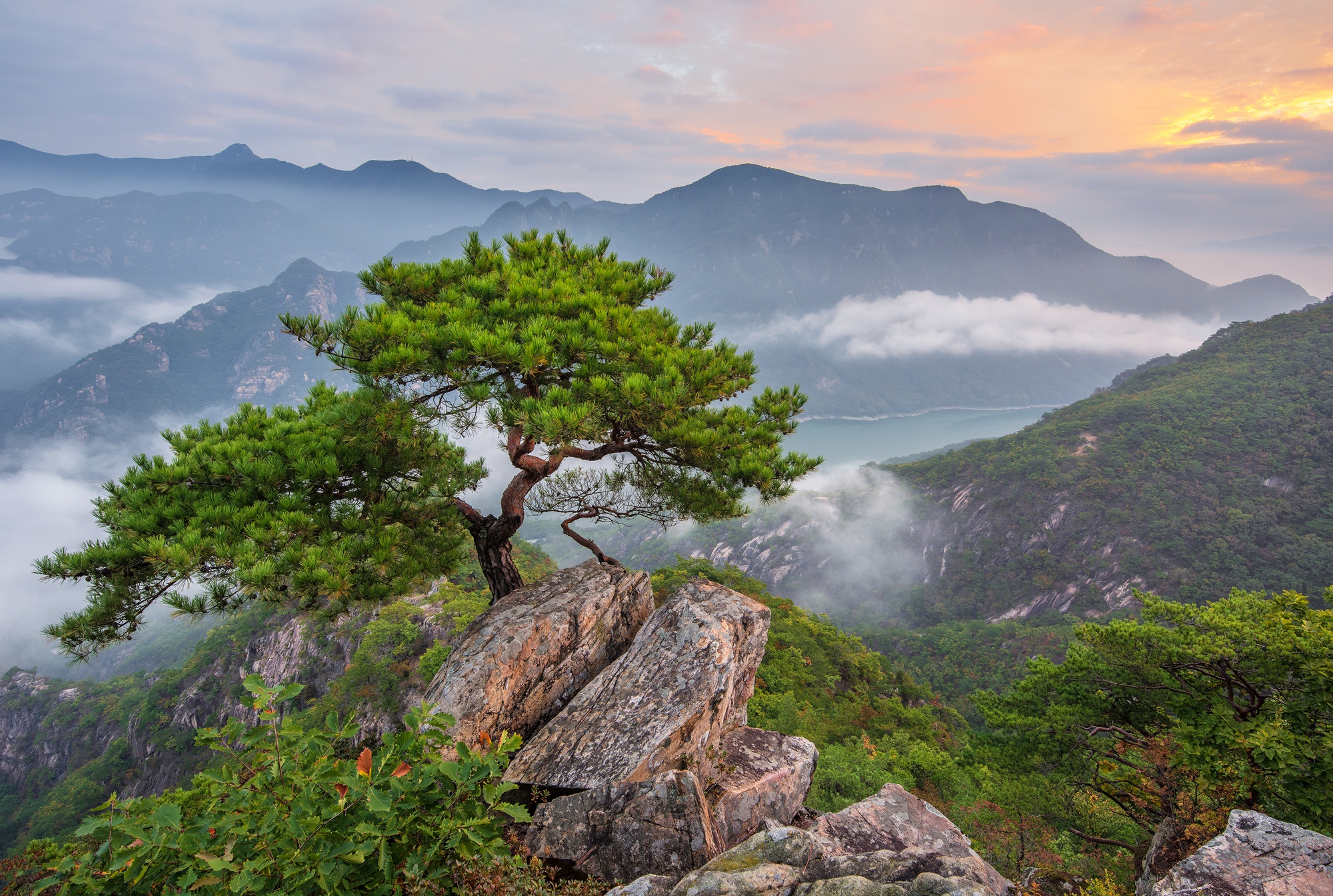 Handy-Wallpaper Landschaft, Natur, Baum, Nebel, Gebirge, Wolke, Erde/natur kostenlos herunterladen.