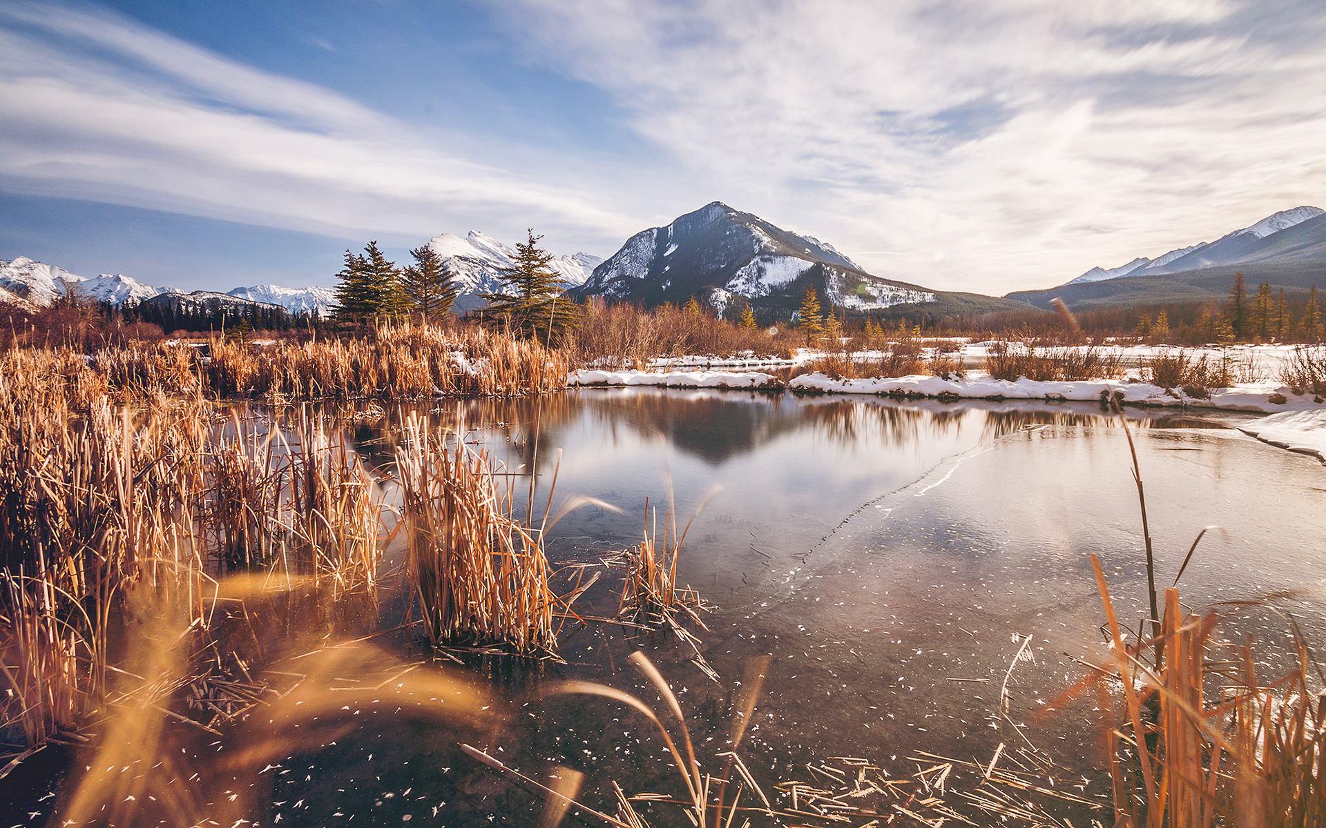 Download mobile wallpaper Landscape, Winter, Nature, Lakes, Lake, Plant, Earth, Frozen for free.