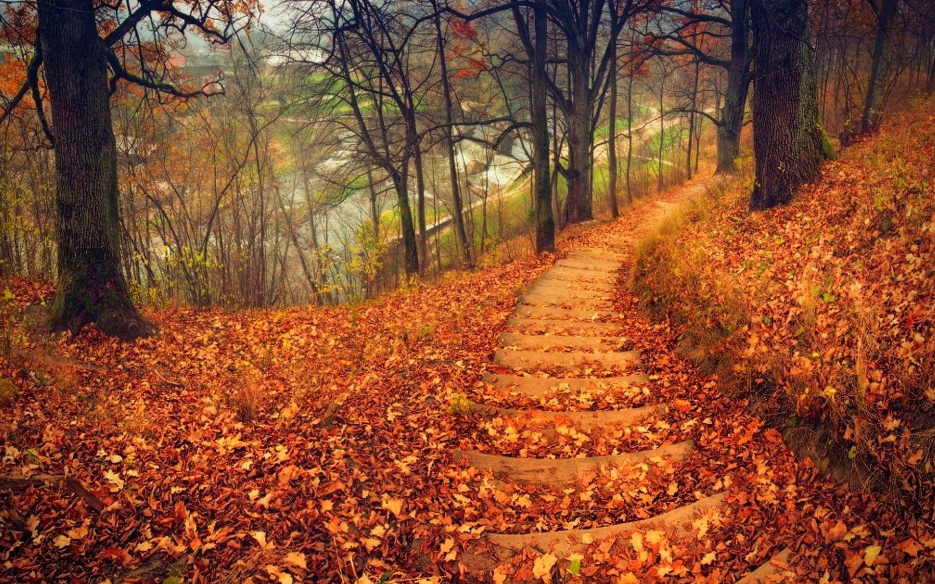 Скачать картинку Осень, Дорога, Дерево, Лестница, Сделано Человеком в телефон бесплатно.