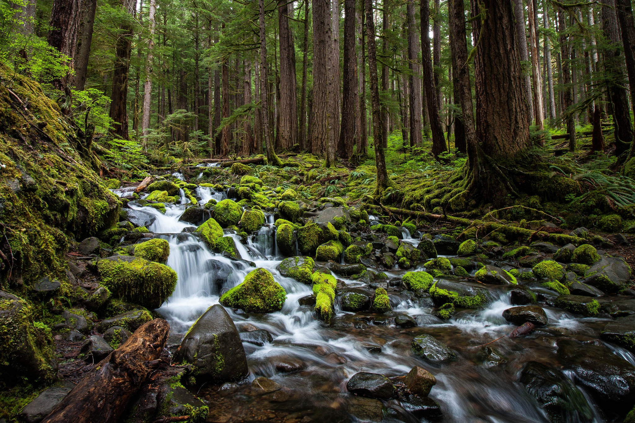 Descarga gratuita de fondo de pantalla para móvil de Naturaleza, Bosque, Piedra, Musgo, Chorro, Tierra/naturaleza.