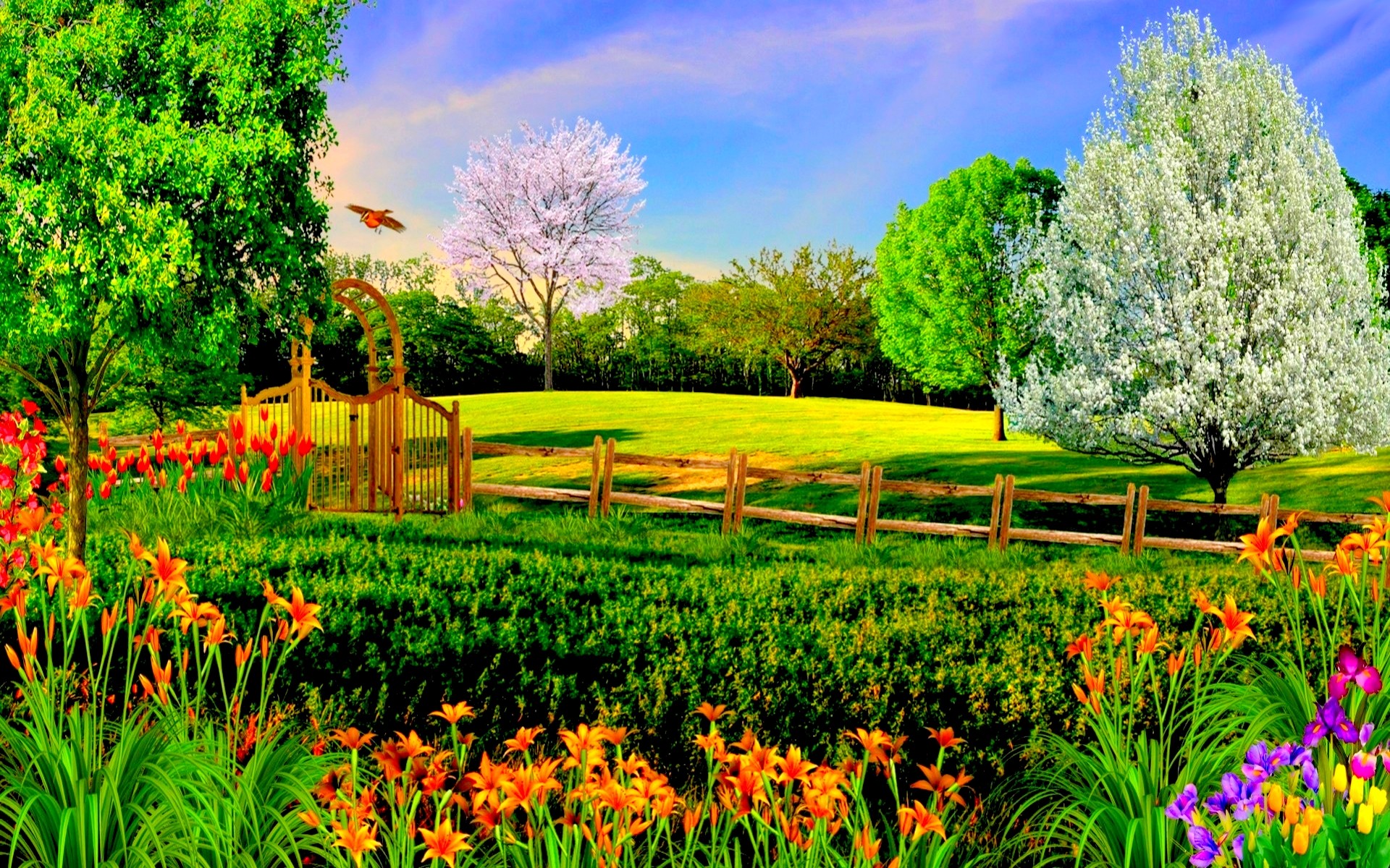 Laden Sie das Natur, Blume, Park, Bunt, Frühling, Gras, Erde/natur-Bild kostenlos auf Ihren PC-Desktop herunter