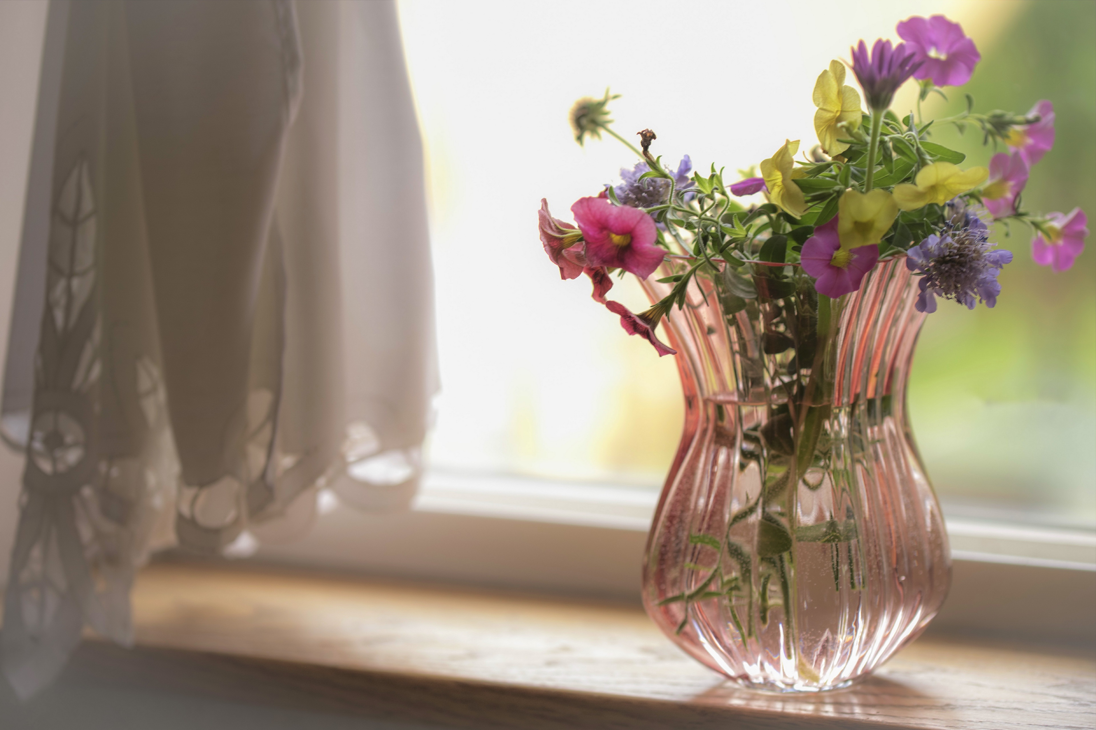 Download mobile wallpaper Flower, Vase, Man Made for free.