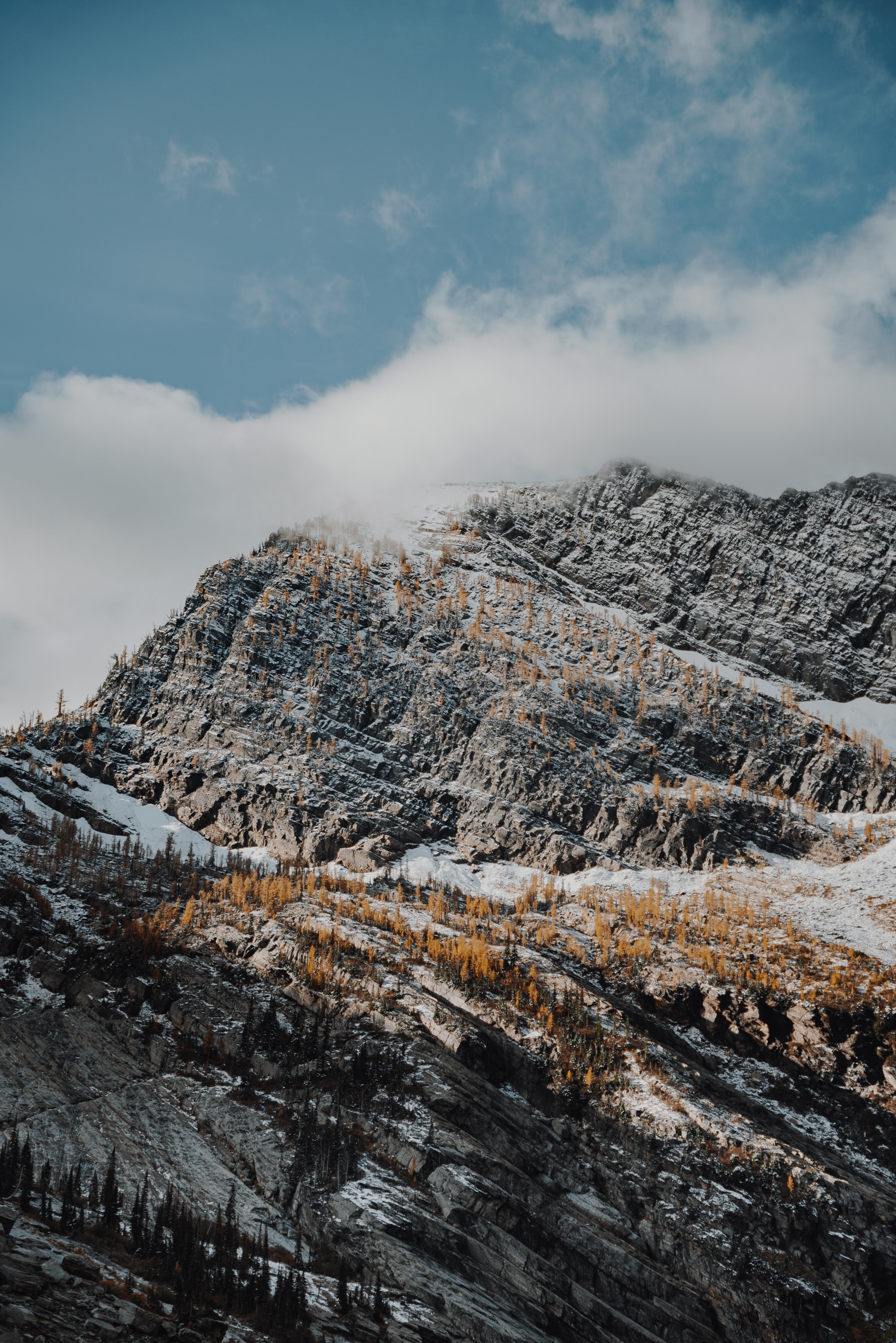 Descarga gratis la imagen Naturaleza, Nubes, Nieve, Montaña, Árboles en el escritorio de tu PC