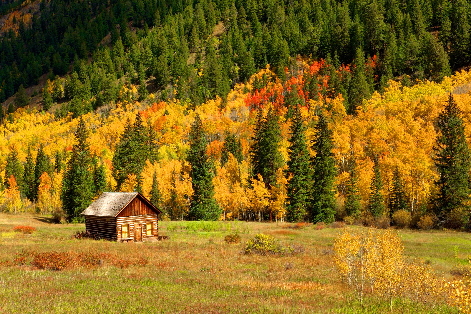 Download mobile wallpaper Forest, Tree, Fall, Cabin, Man Made for free.