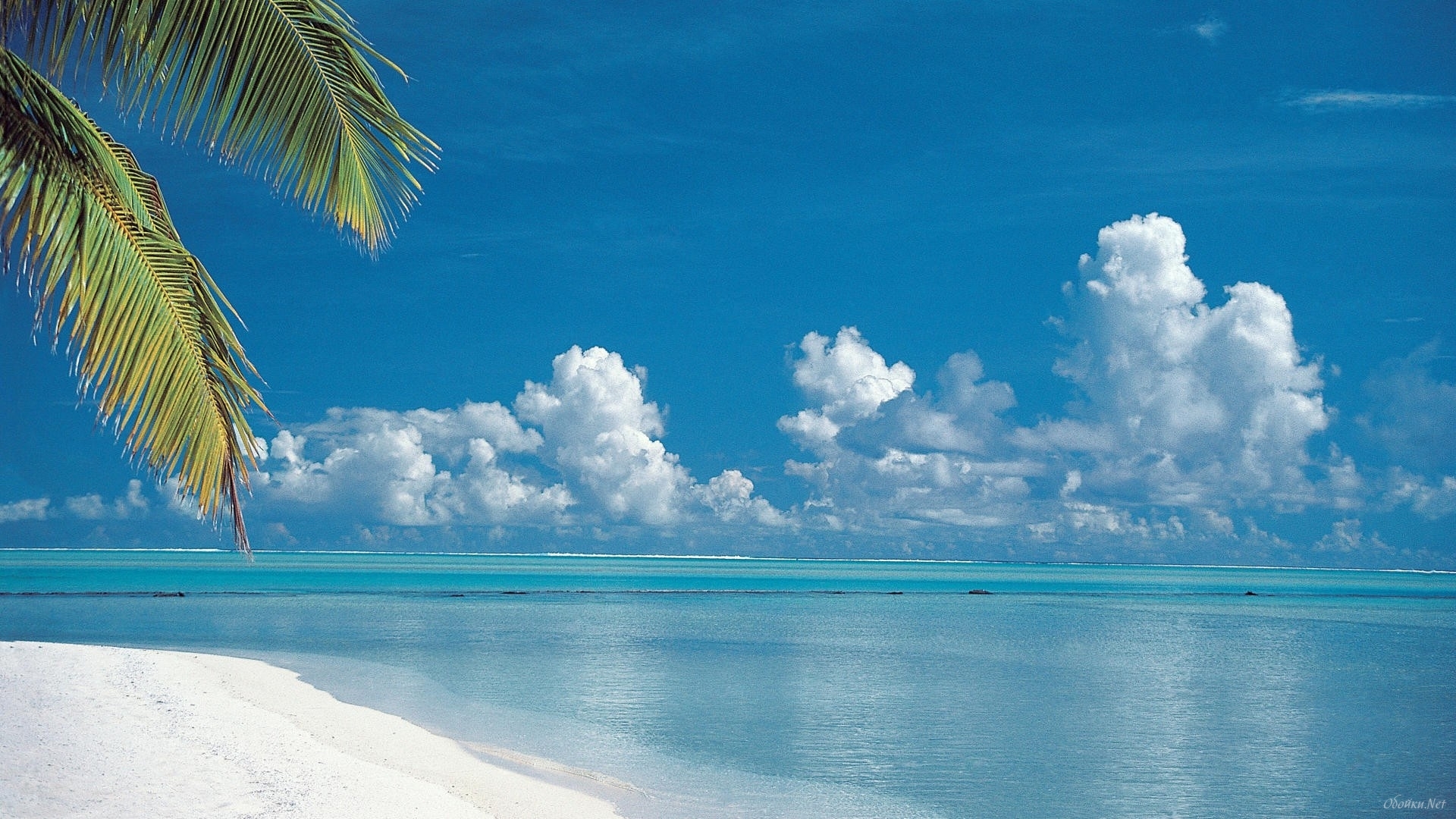 16470 скачать картинку лето, пляж, море, пейзаж, синие - обои и заставки бесплатно