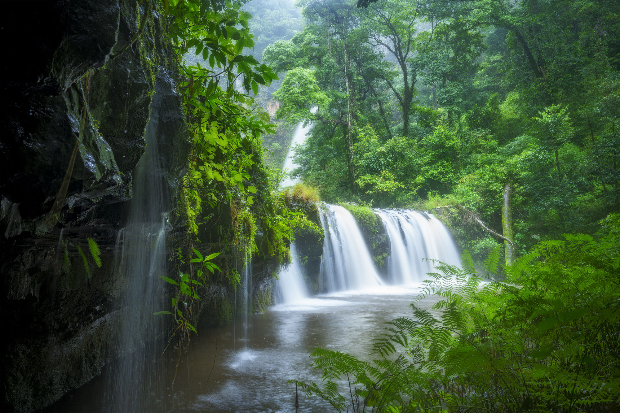 Laden Sie das Natur, Wasserfälle, Farne, Wasserfall, Wald, Erde/natur-Bild kostenlos auf Ihren PC-Desktop herunter