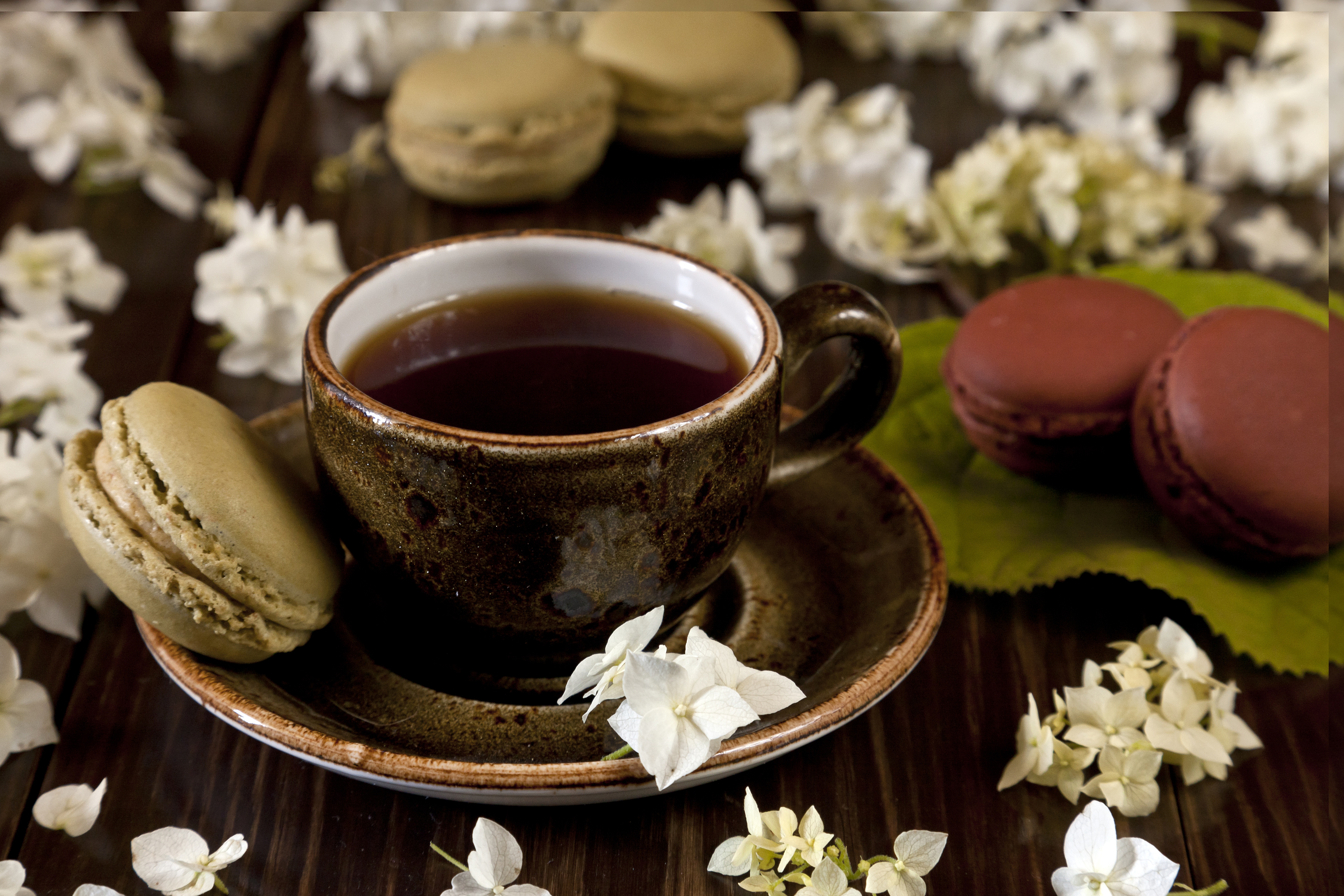 Download mobile wallpaper Food, Coffee, Still Life, Flower, Cup, Macaron for free.