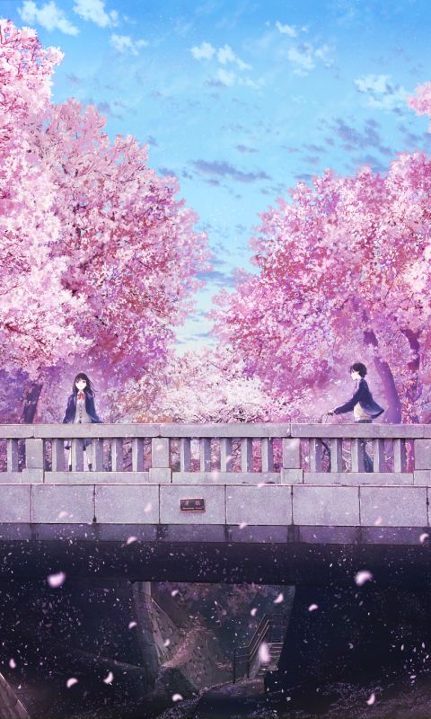 Download mobile wallpaper Anime, Love, Sakura for free.
