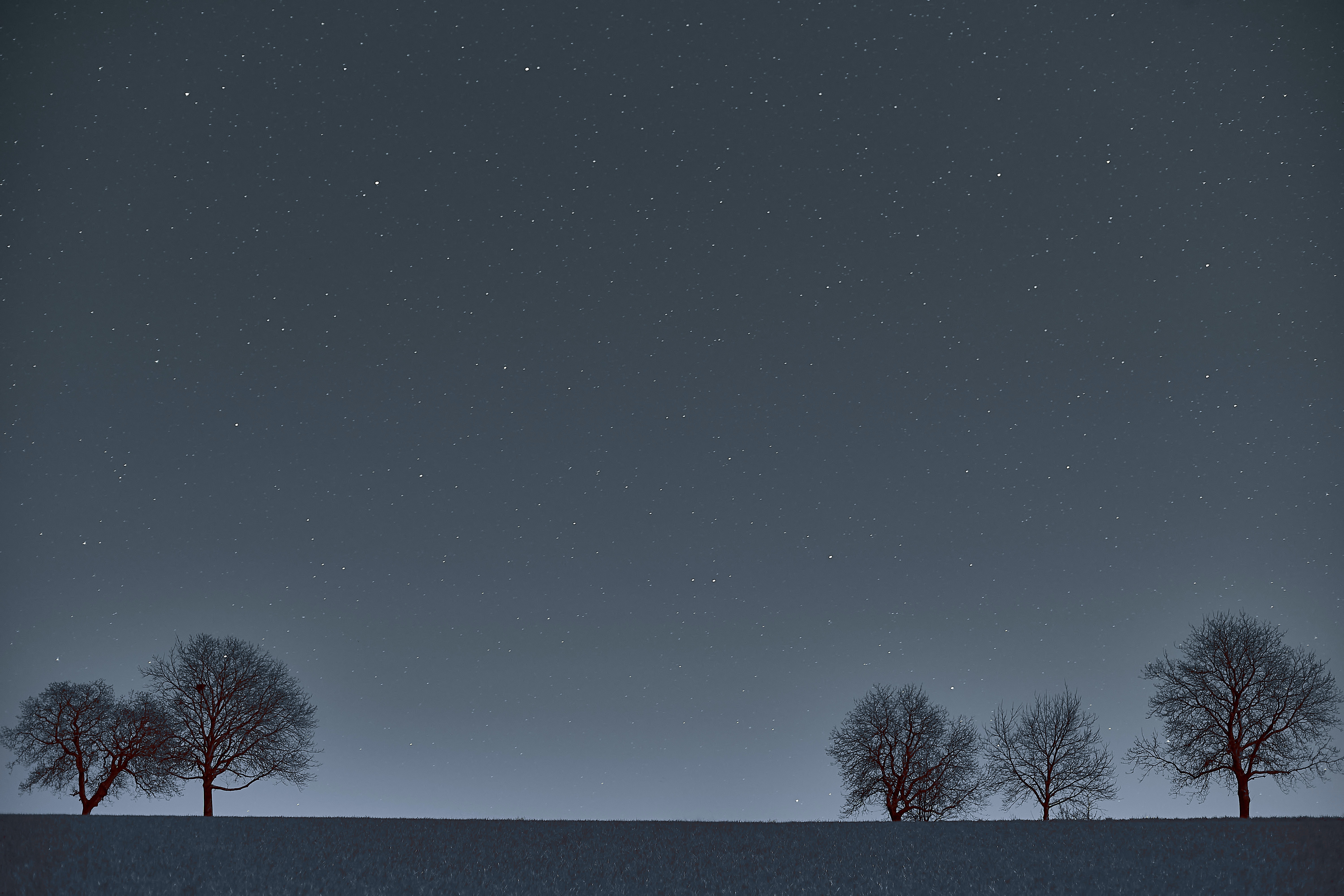 Download mobile wallpaper Trees, Horizon, Stars, Night, Dark for free.