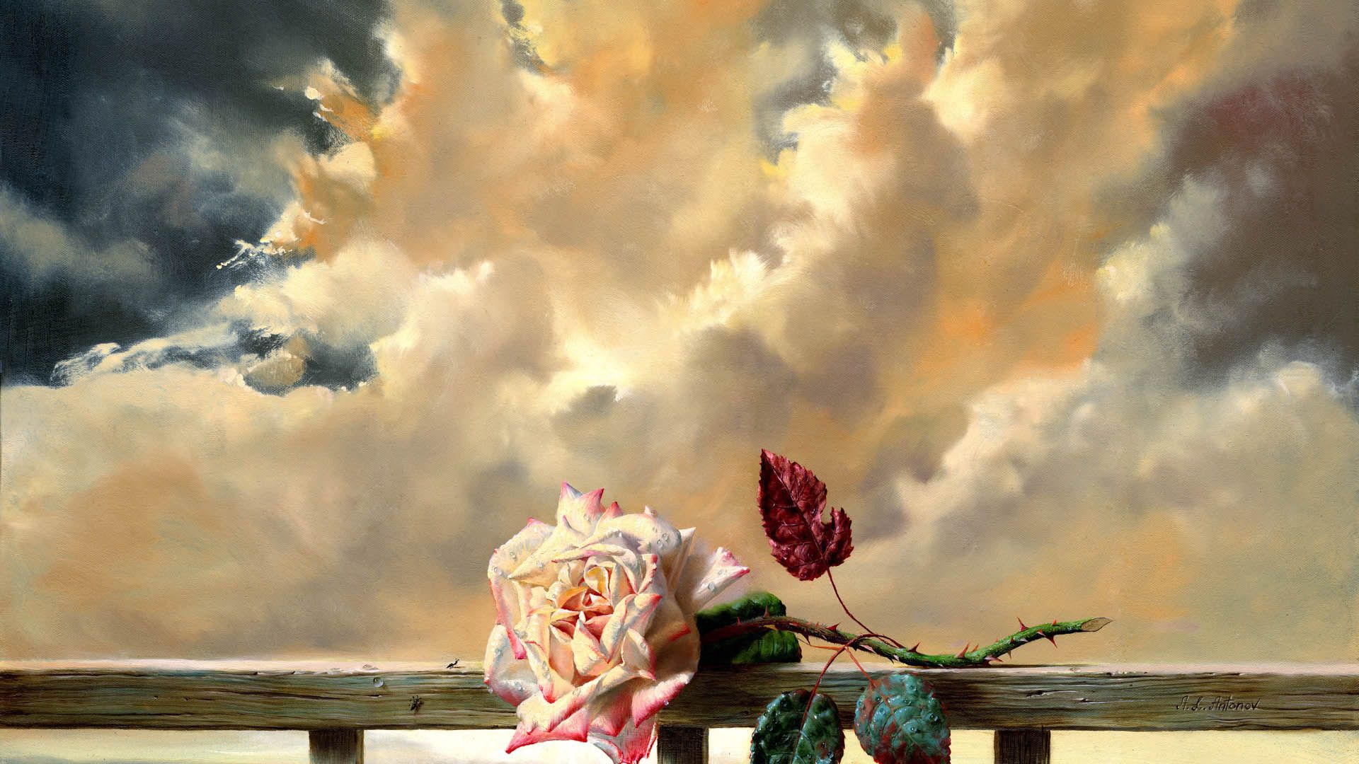 rose flower, flowers, sky, clouds, rose, dry HD wallpaper