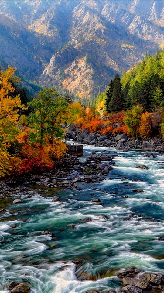 Download mobile wallpaper Mountain, Forest, Tree, Fall, Earth, River for free.