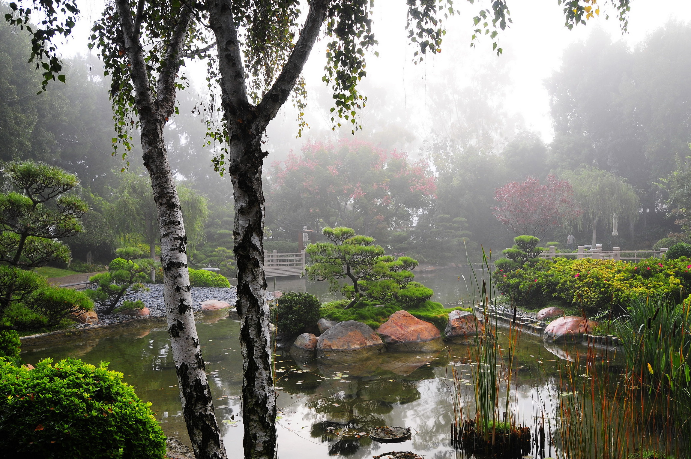 591032 descargar fondo de pantalla jardín japonés, jardín, hecho por el hombre: protectores de pantalla e imágenes gratis