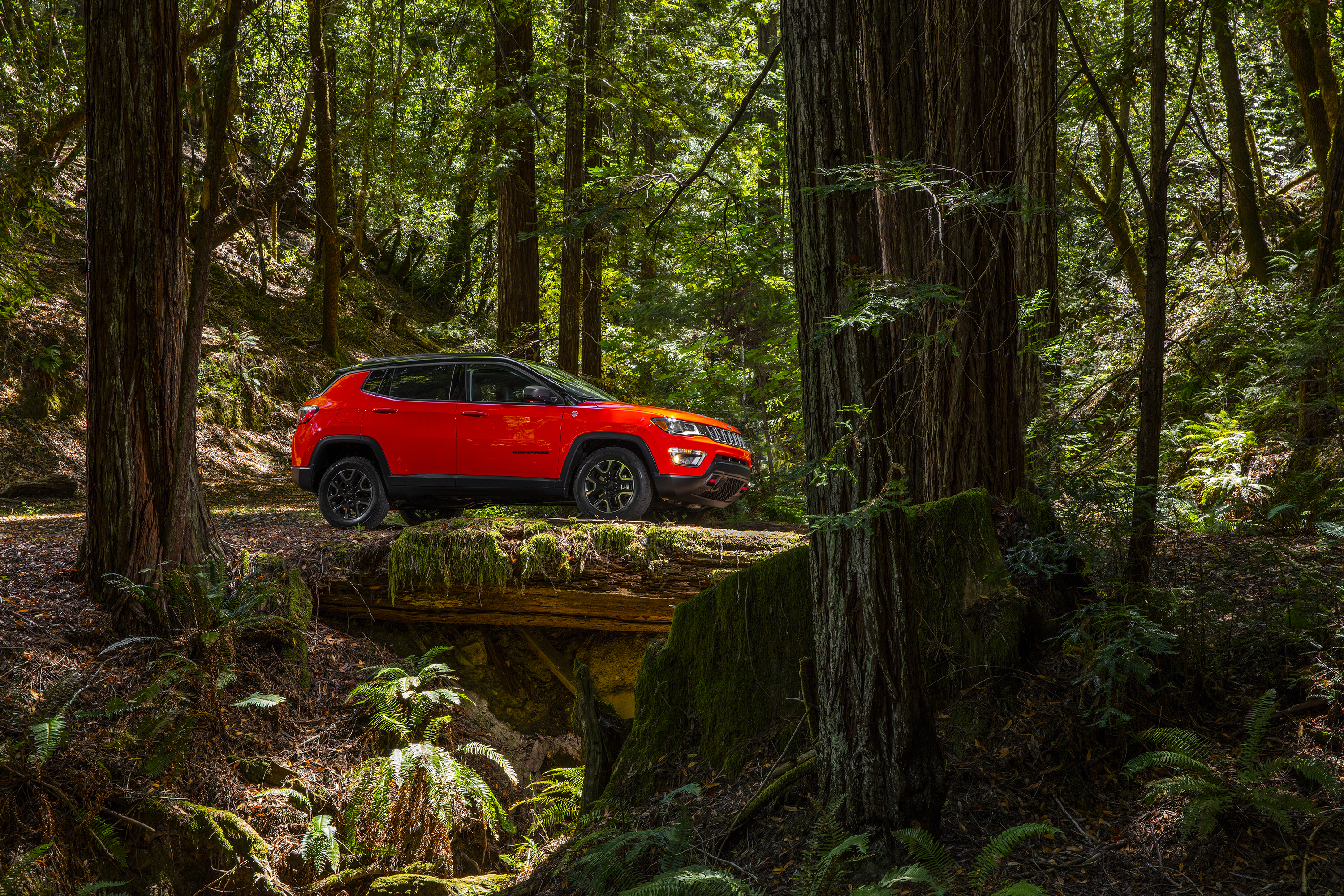 Download mobile wallpaper Fern, Forest, Car, Suv, Jeep, Vehicles, Jeep Trailhawk for free.