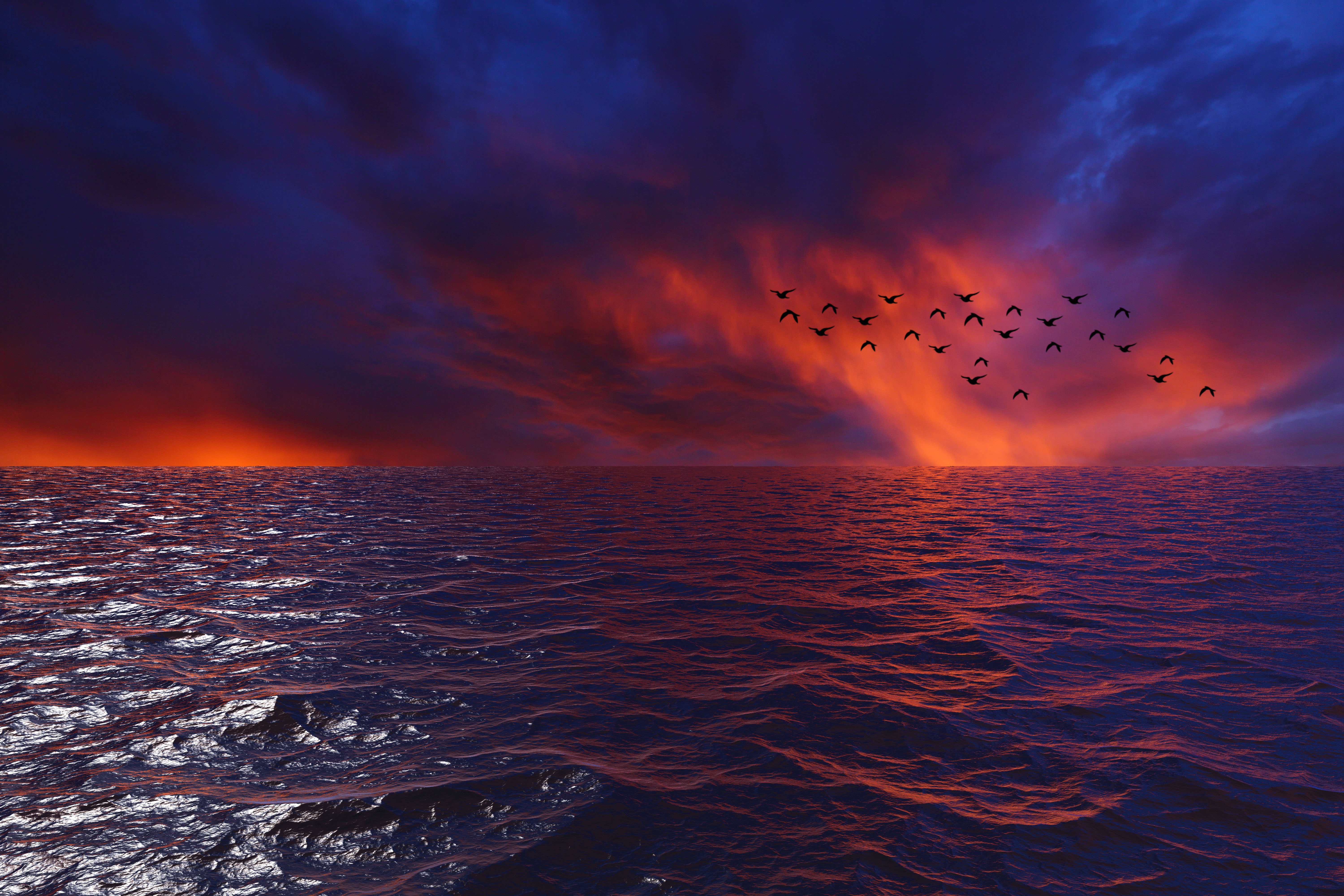 PCデスクトップに自然, 地平線, 日没, 雲, スカイ, 群れ, 波, 鳥, 海画像を無料でダウンロード