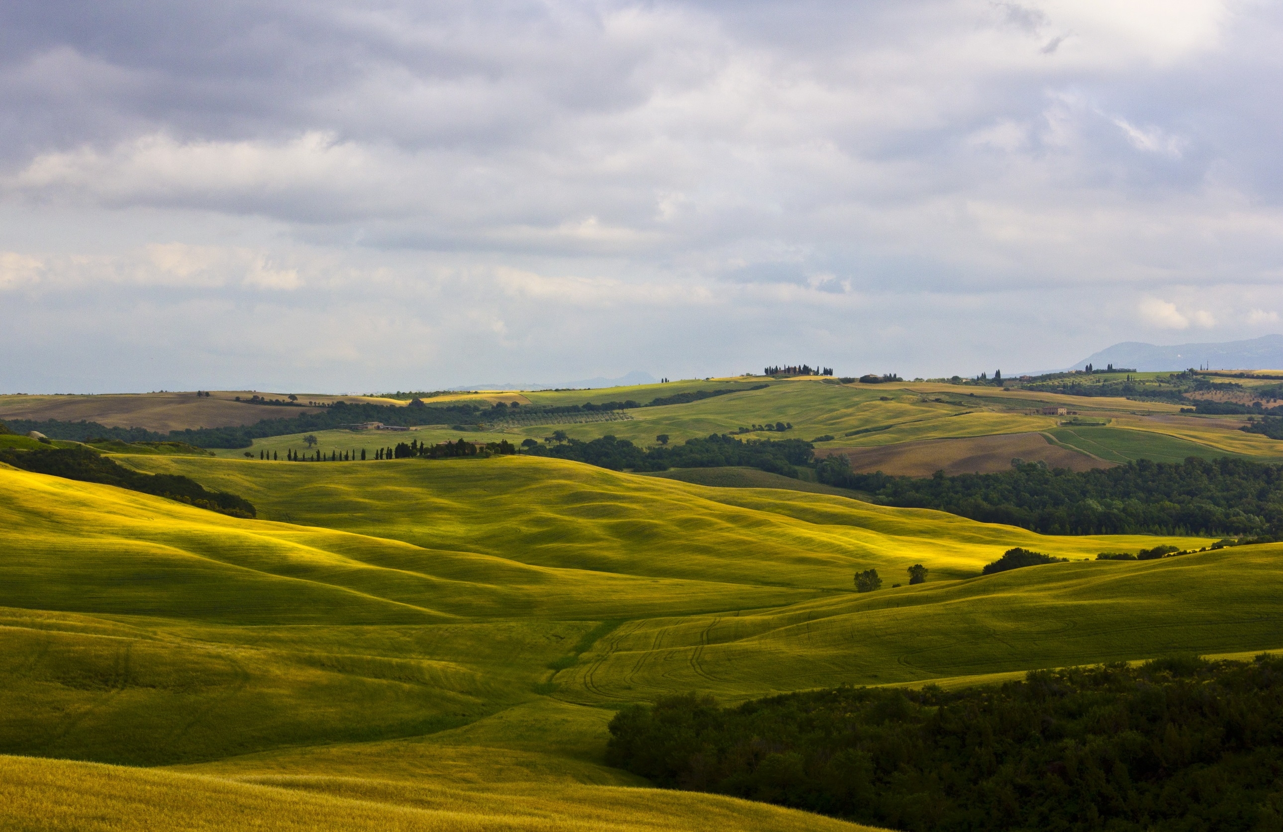tuscany, fields, nature, italy, montalcino