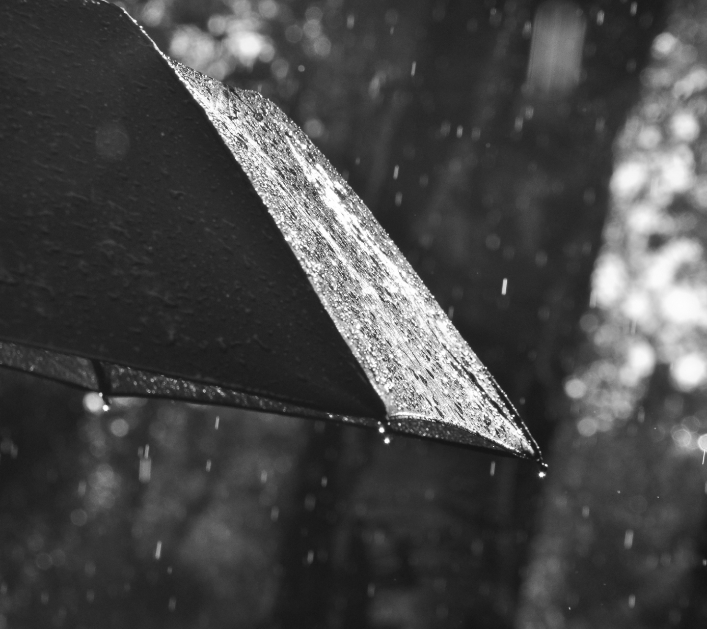 Скачать картинку Дождь, Черно Белый, Фотографии в телефон бесплатно.