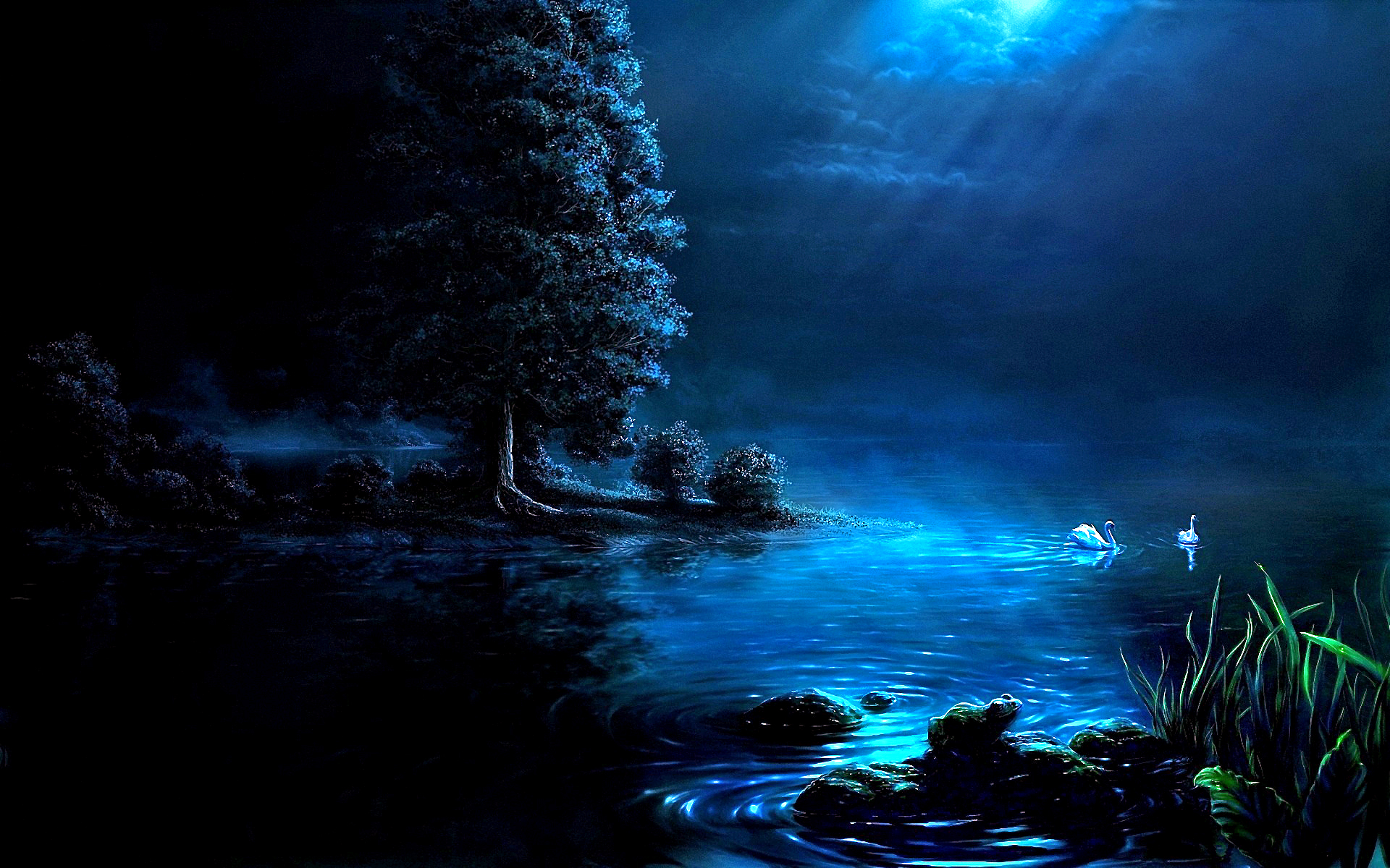 Free download wallpaper Landscape, Fantasy, Rain, Night, Tree, Swan, Pond on your PC desktop