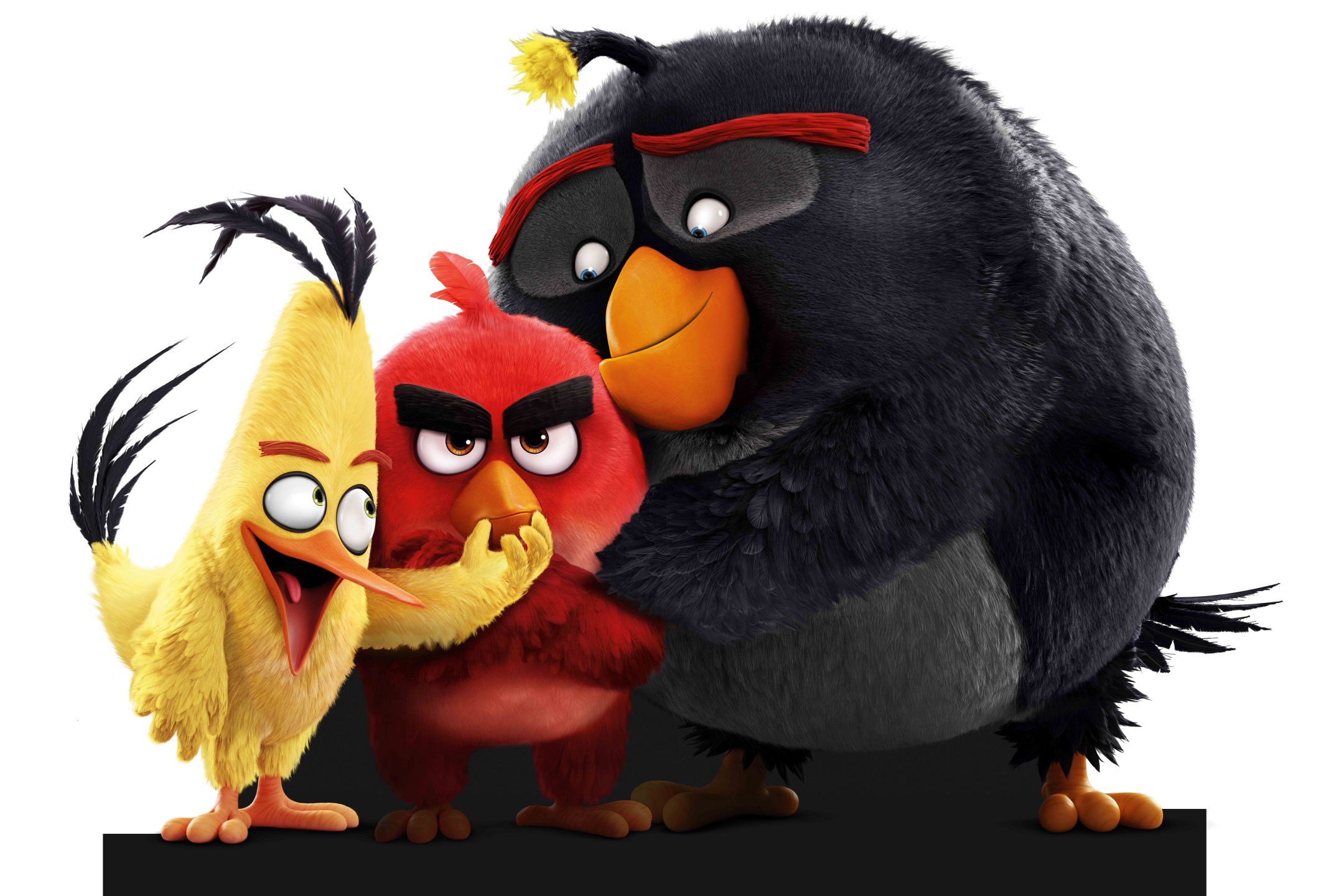 Laden Sie das Angry Birds, Filme, Angry Birds Der Film-Bild kostenlos auf Ihren PC-Desktop herunter