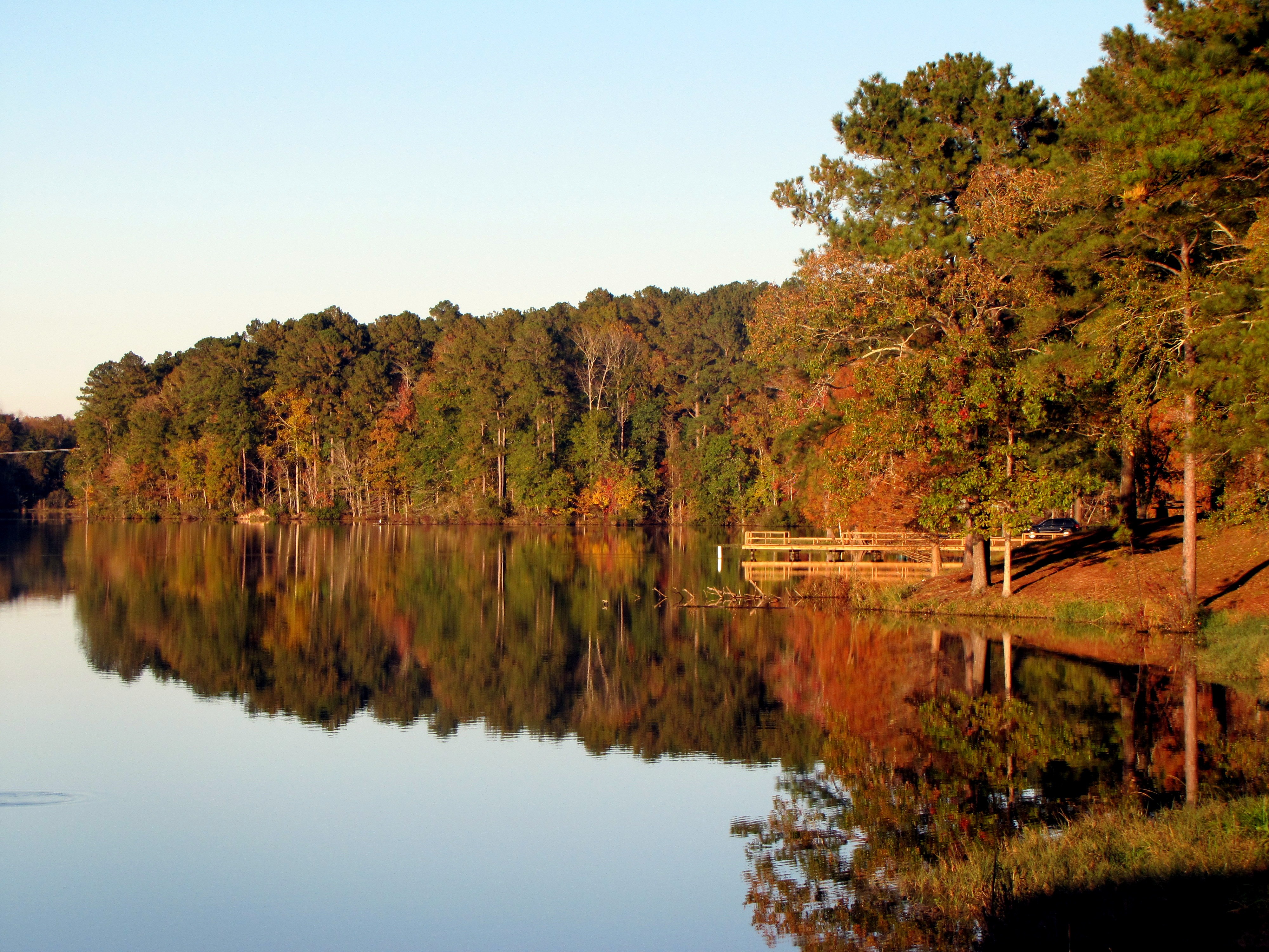 Laden Sie das Bäume, See, Reflexion, Natur, Herbst-Bild kostenlos auf Ihren PC-Desktop herunter