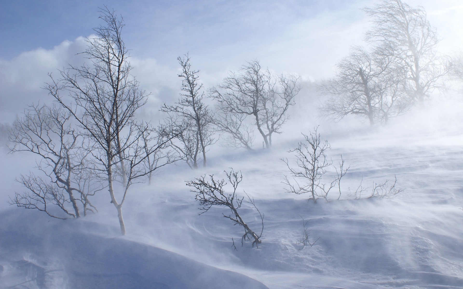 Handy-Wallpaper Winter, Erde/natur kostenlos herunterladen.