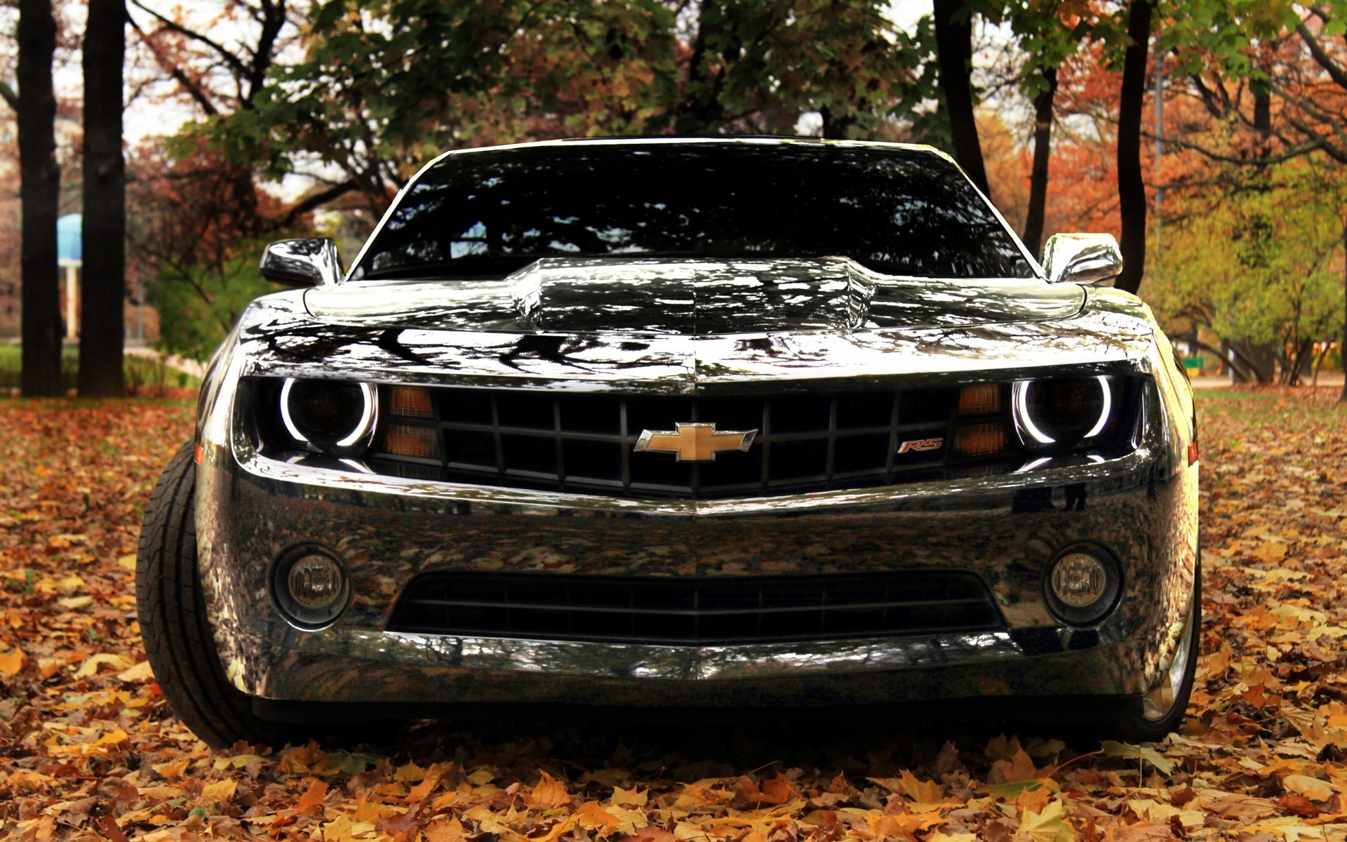 Download mobile wallpaper Chevrolet Camaro, Vehicles for free.