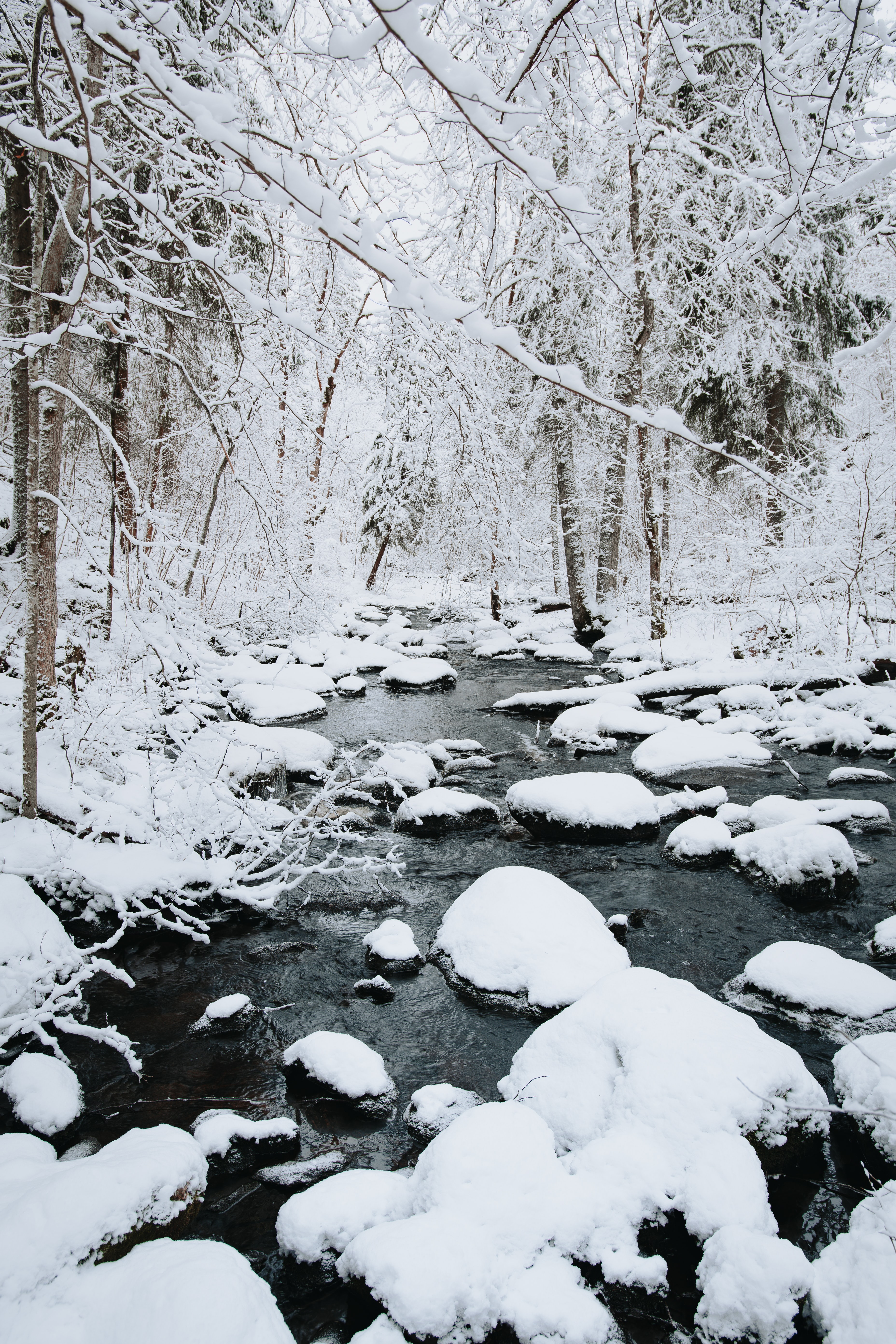 Download mobile wallpaper Snow, Rivers, Trees, Stones, Winter, Nature for free.